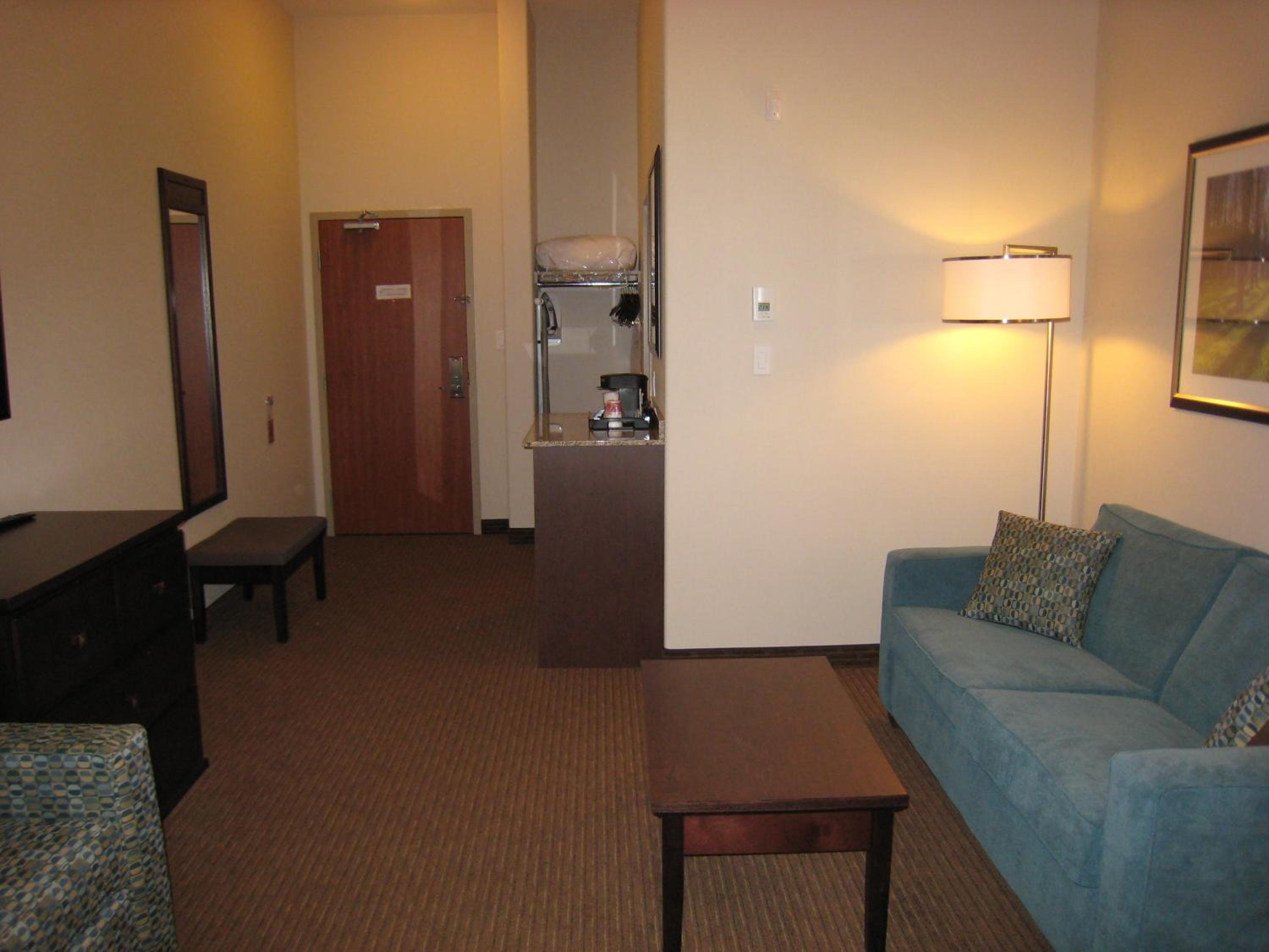Deluxe King Suite - Photo 9