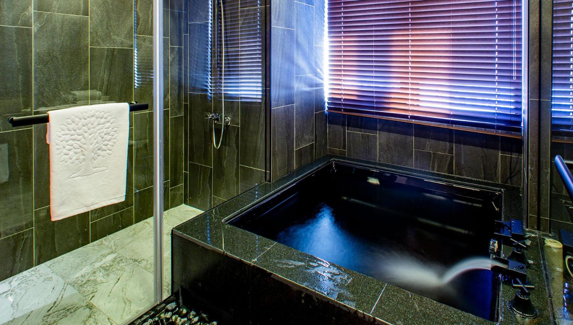 Double Room with Hot Spring photo 3