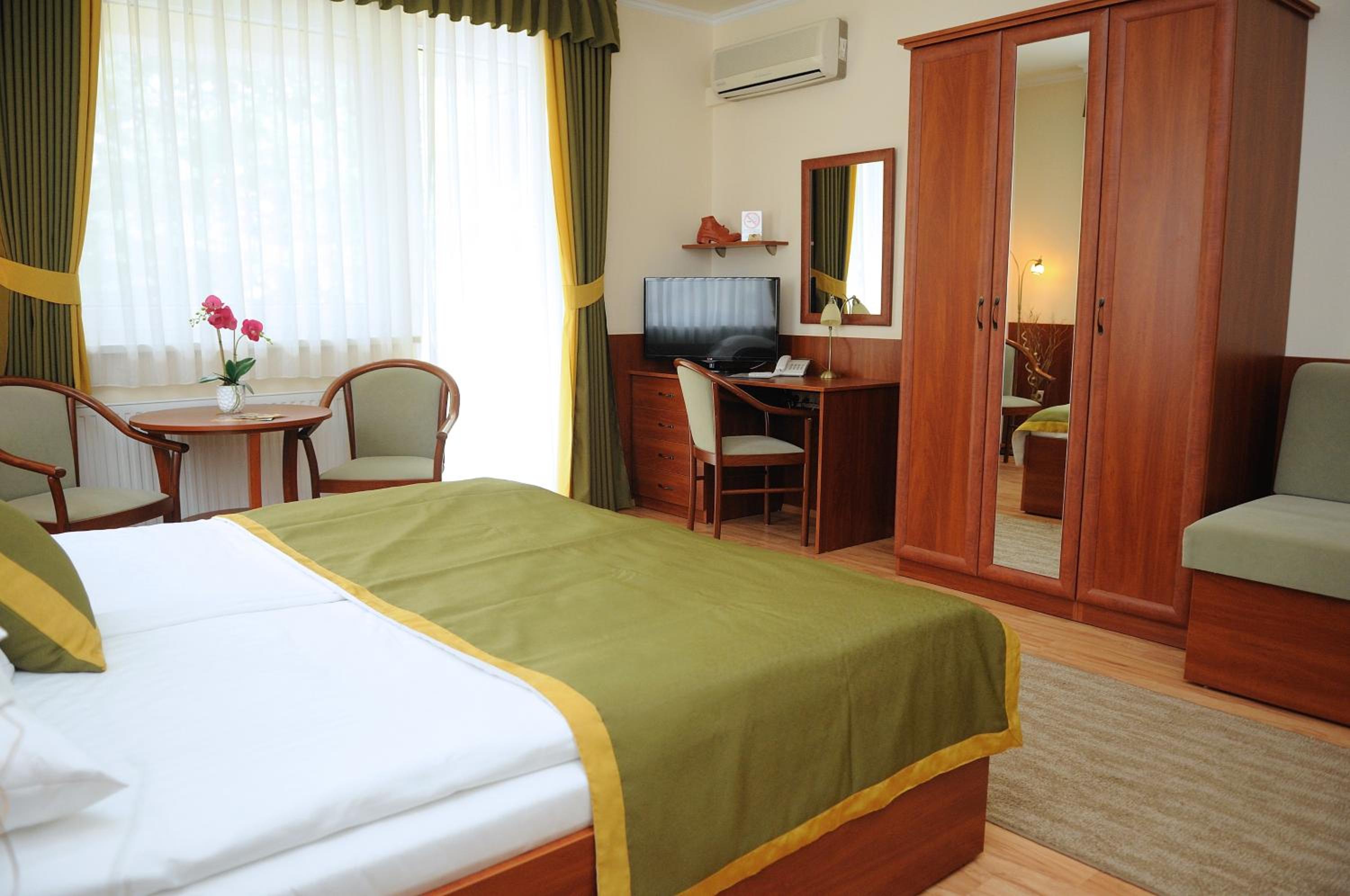 Large Deluxe Apartment
