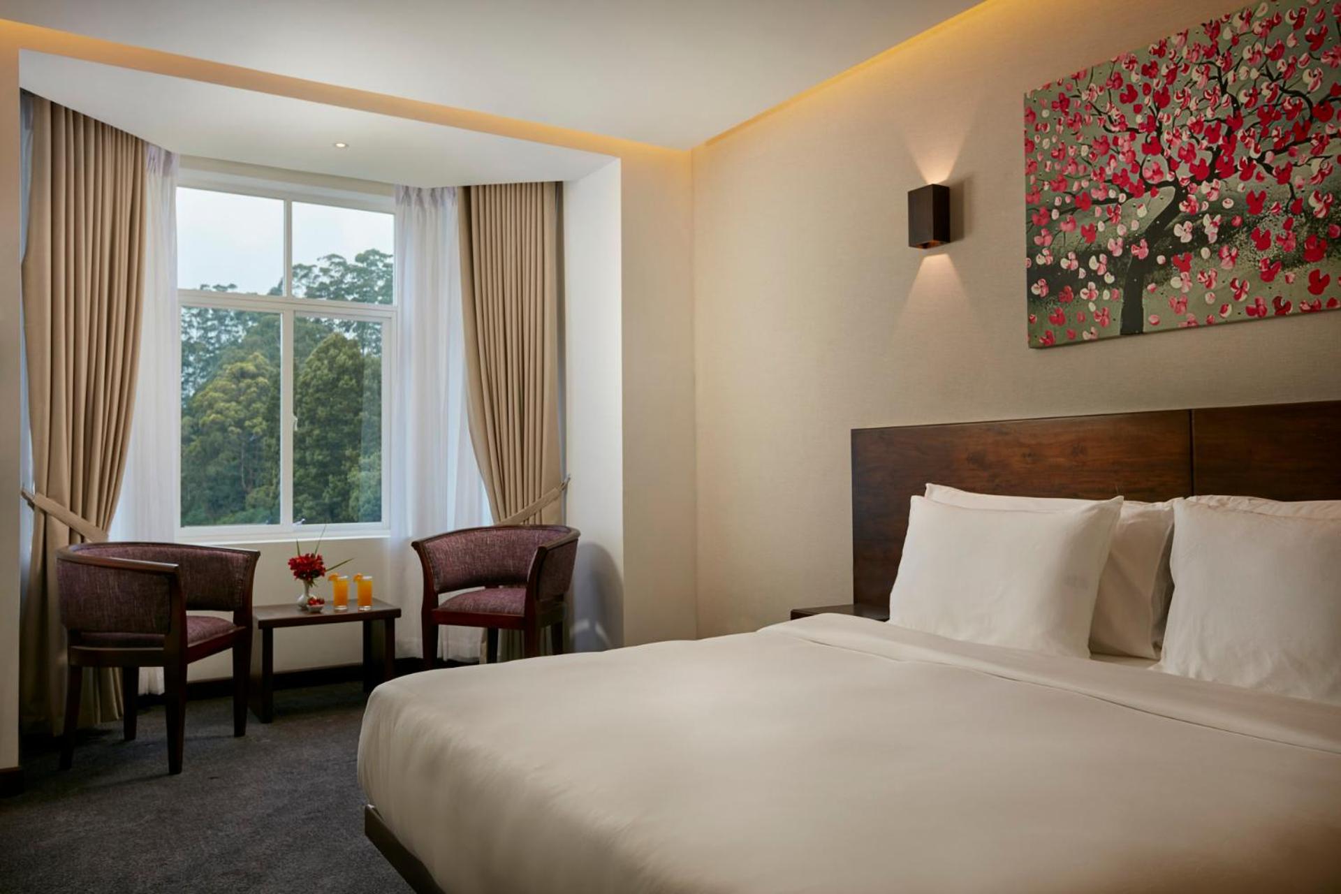 Deluxe Double or Twin Room with Mountain View - Photo 2