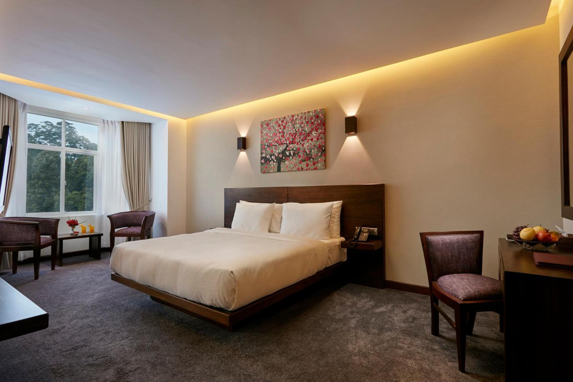 Deluxe Double or Twin Room with Mountain View - Photo 3