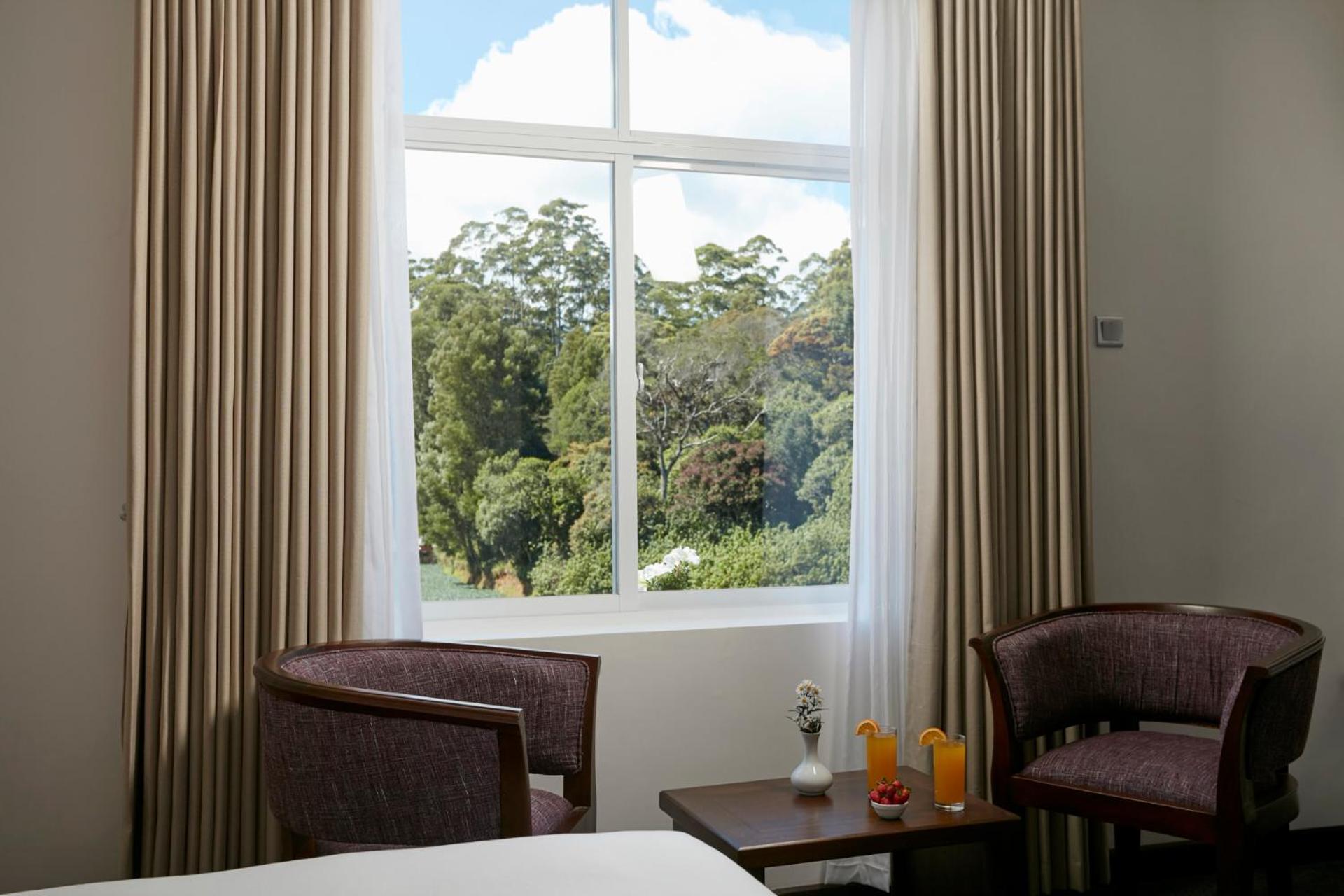 Deluxe Double or Twin Room with Mountain View - Photo 11