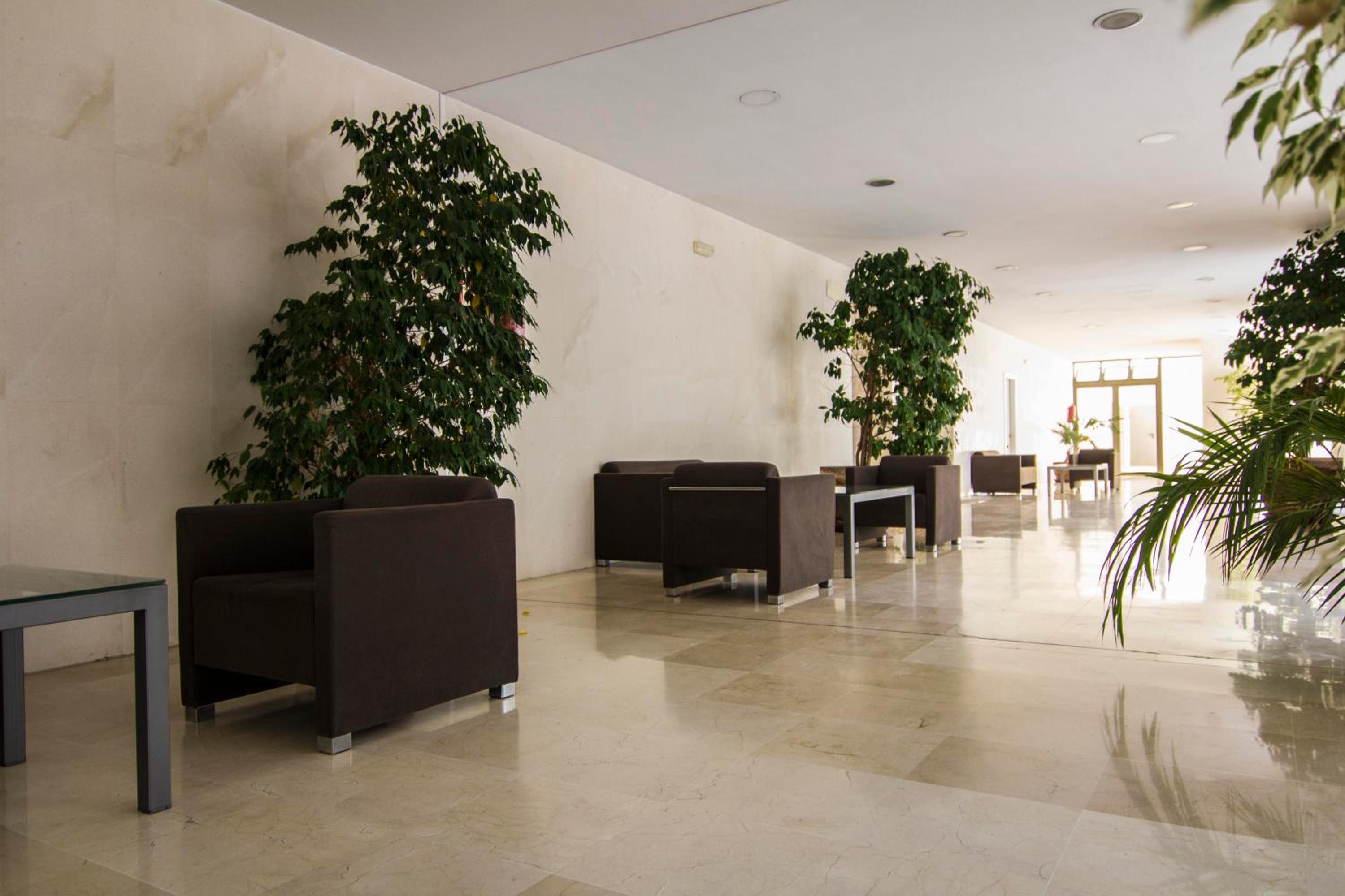 Apartamento Estudio
