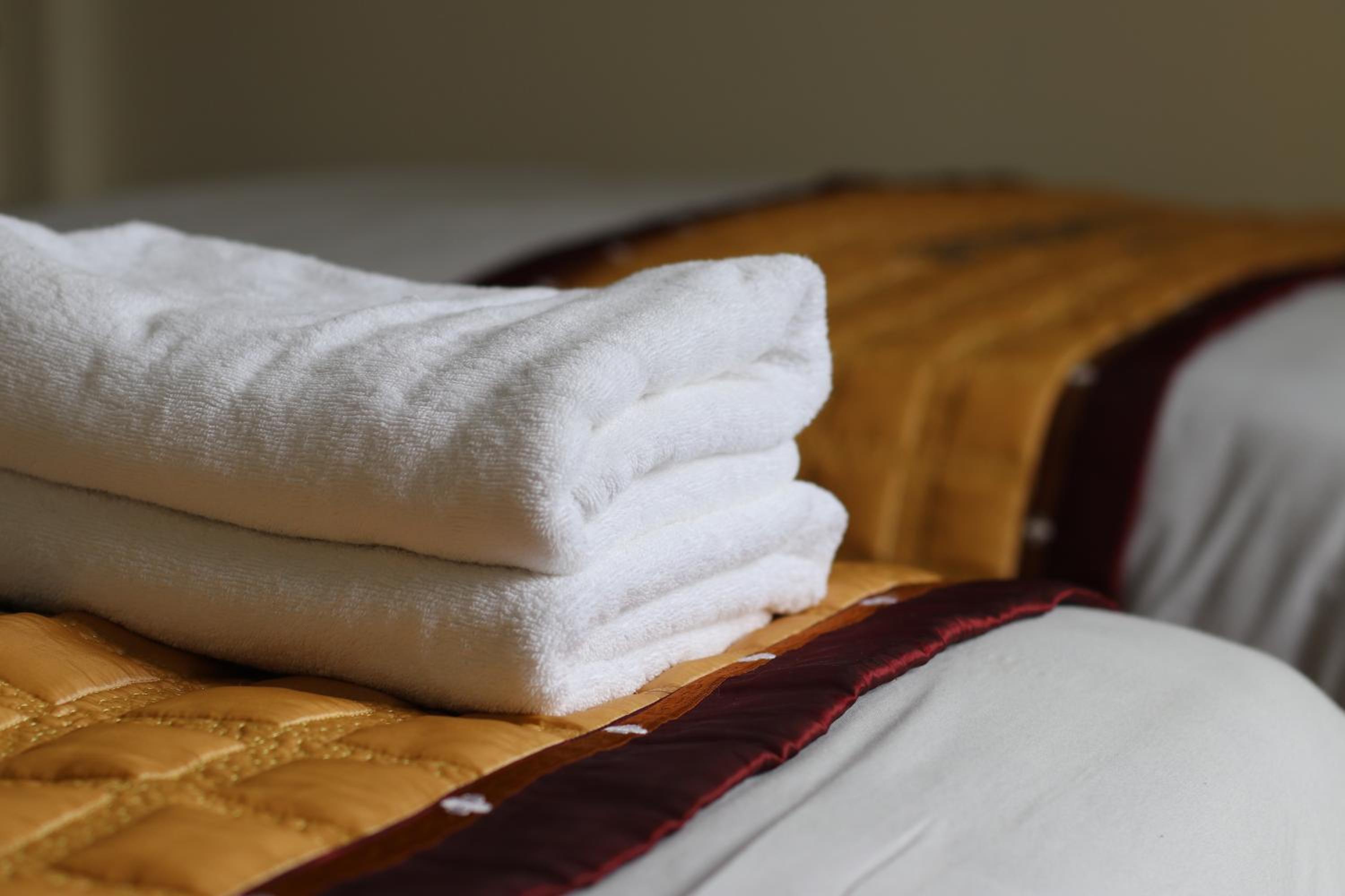 Deluxe Double or Twin Room with River View