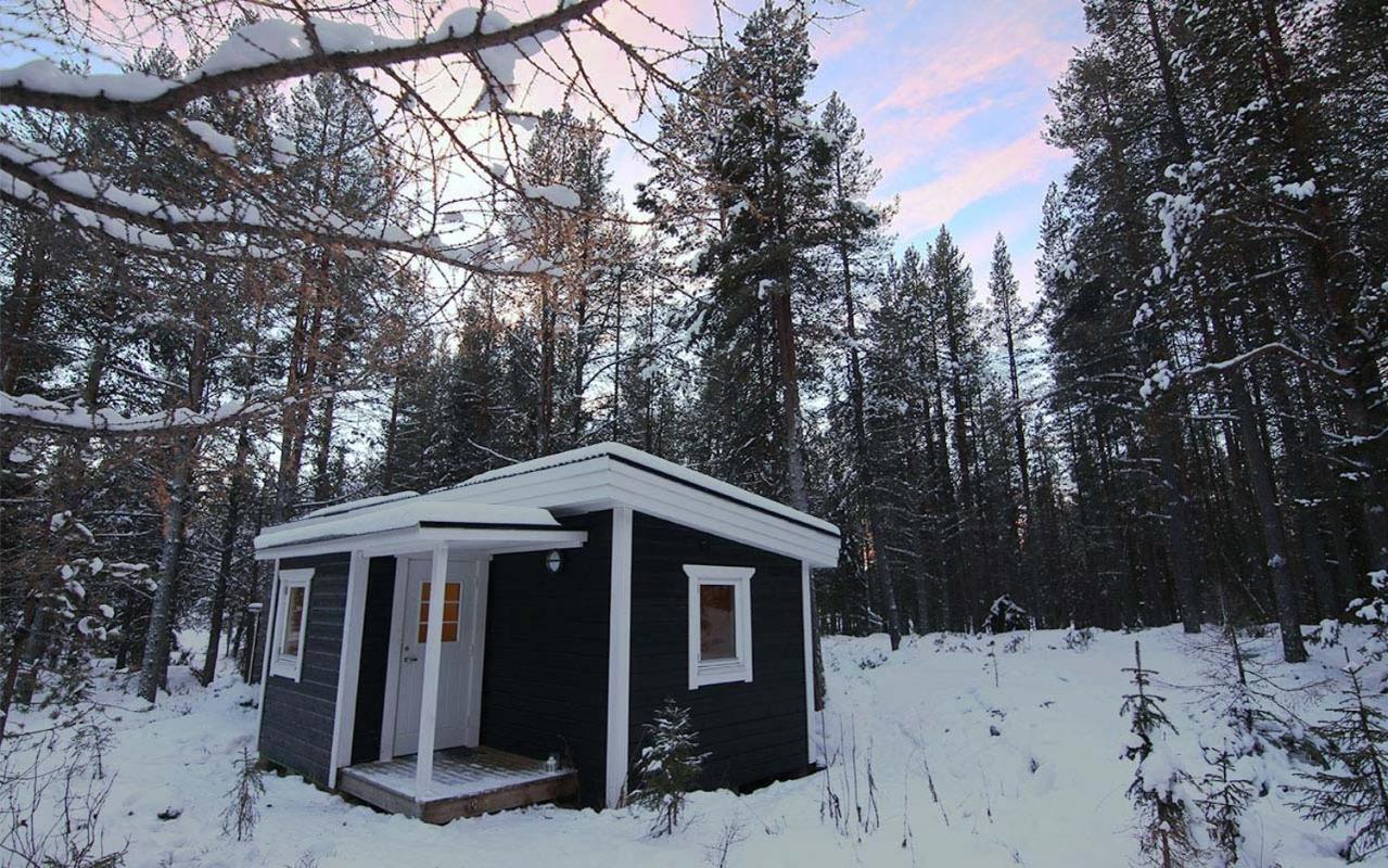 Big Wilderness Suite  photo 2