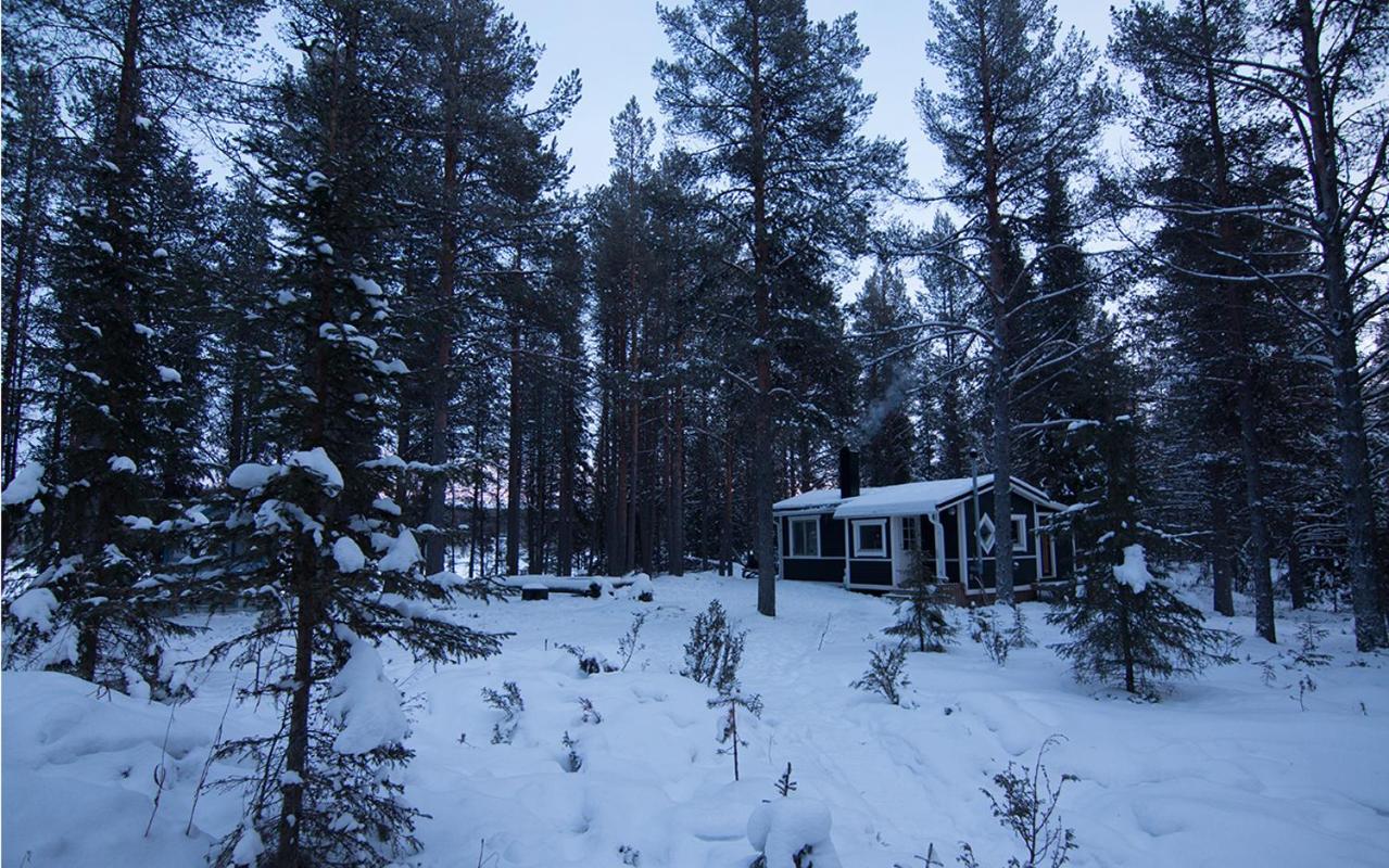 Small Wilderness Suite photo 2