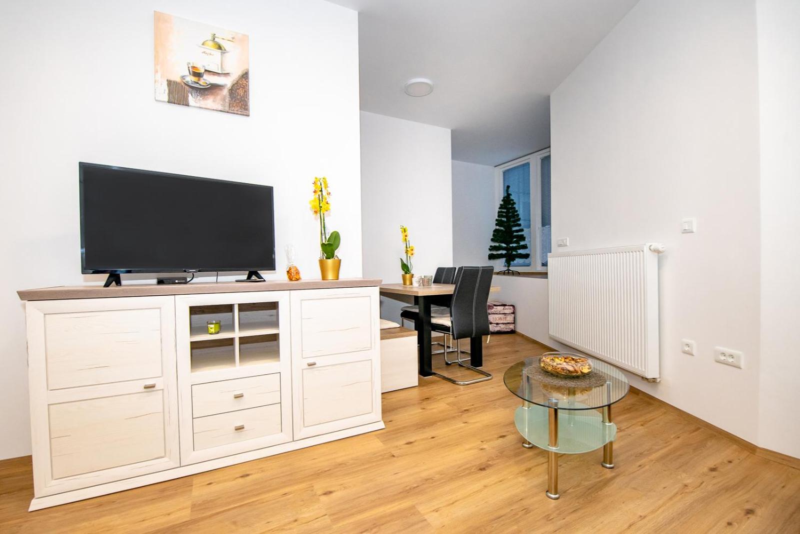 One-Bedroom Apartment with Terrace