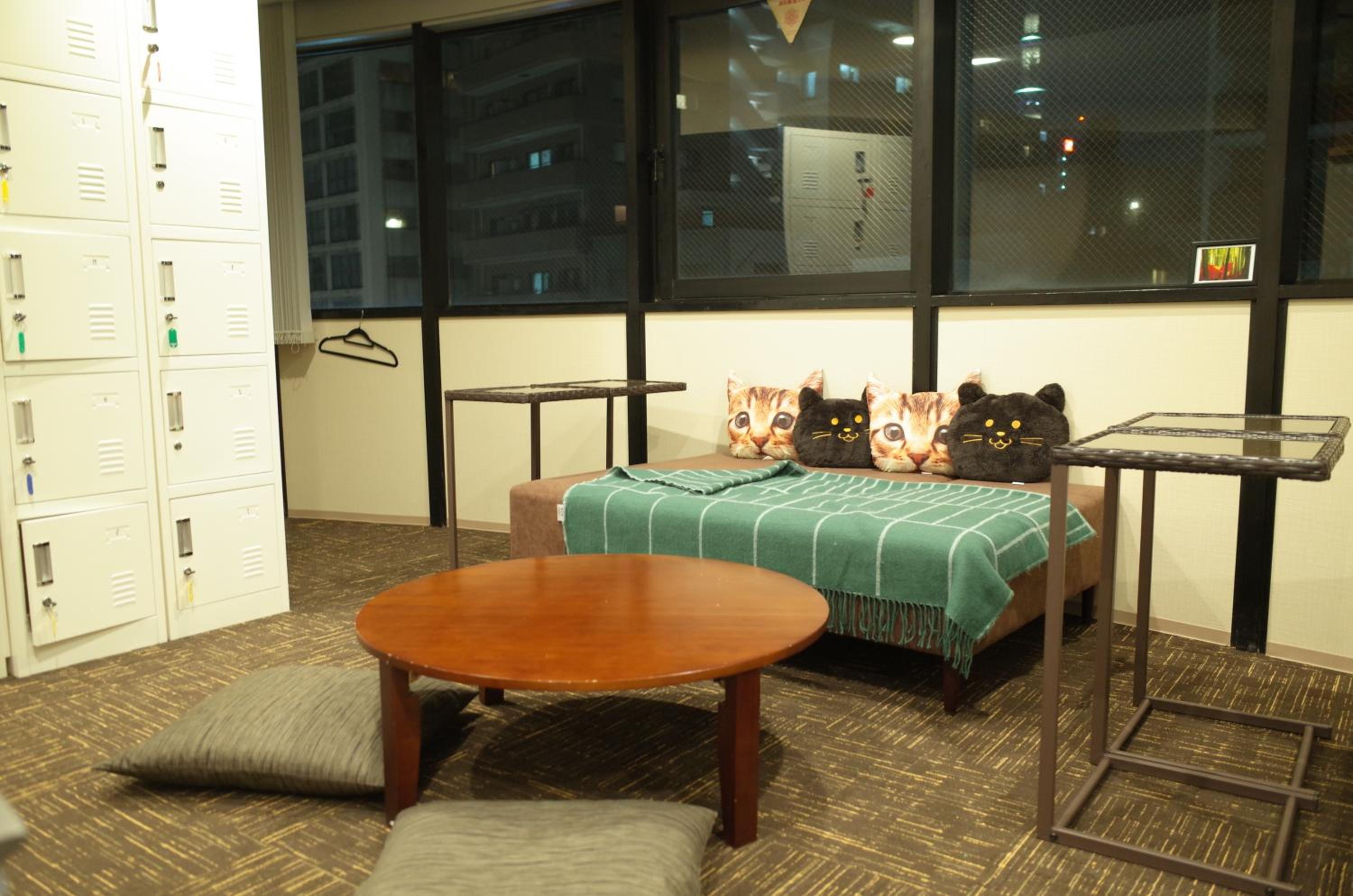 Bunk Bed in Mixed Dormitory Room photo 3