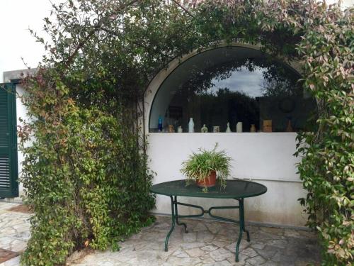 King Room with Garden View photo 2