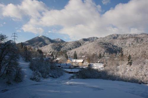 Twin Room with Mountain View photo 3
