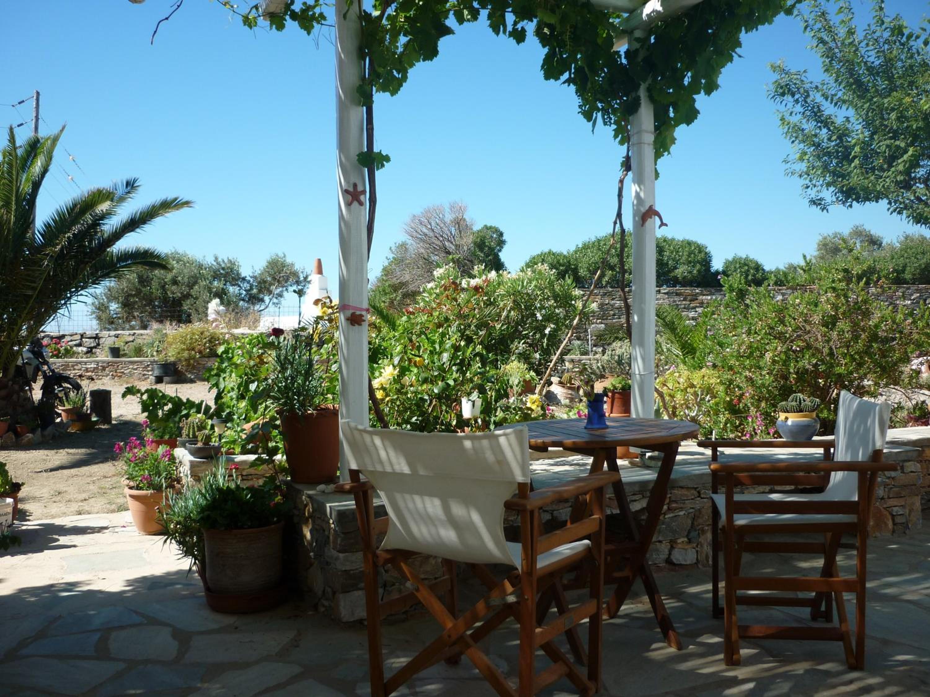 Single Room with Garden View photo 2