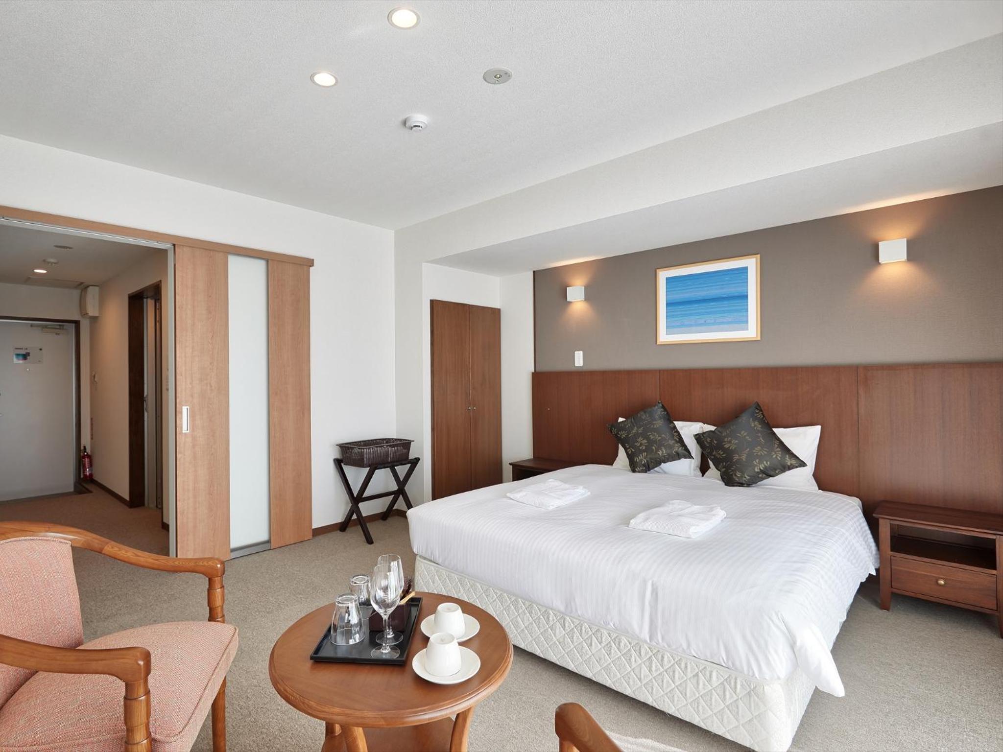 Hotel Type Double Room