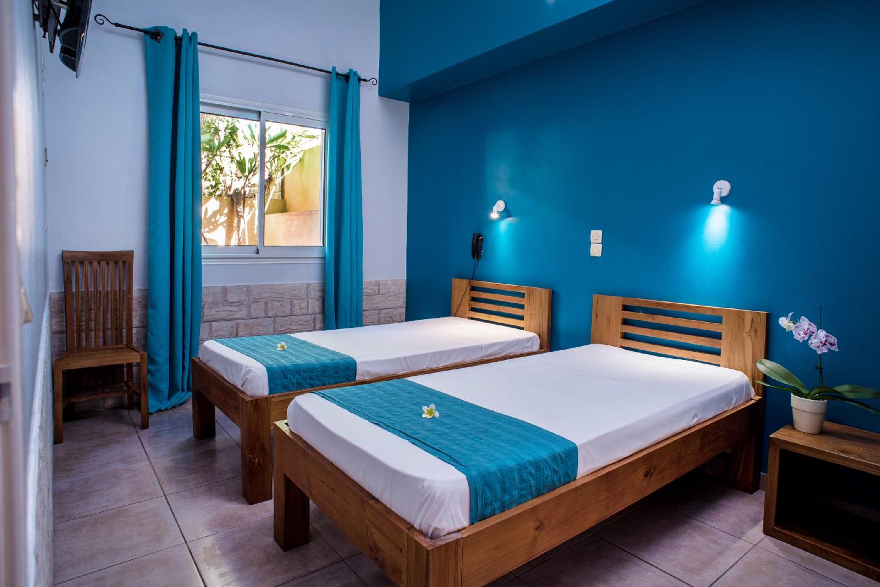 Twin Room - Photo 2
