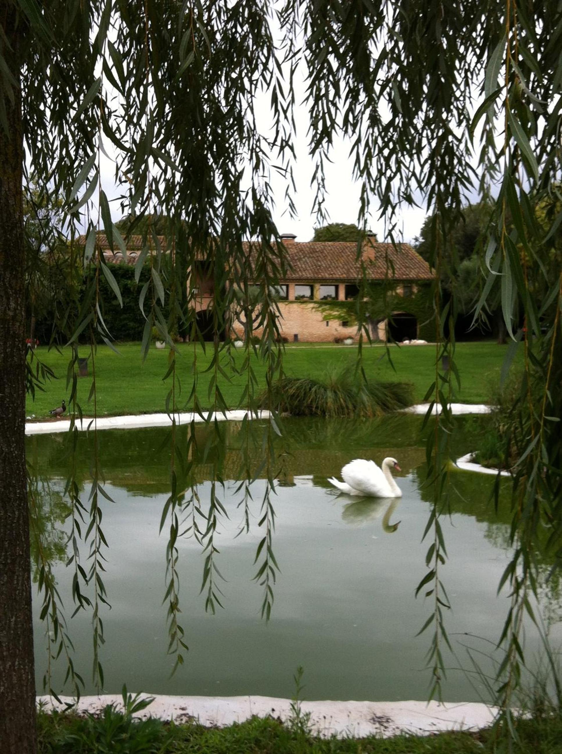 Villa photo 2