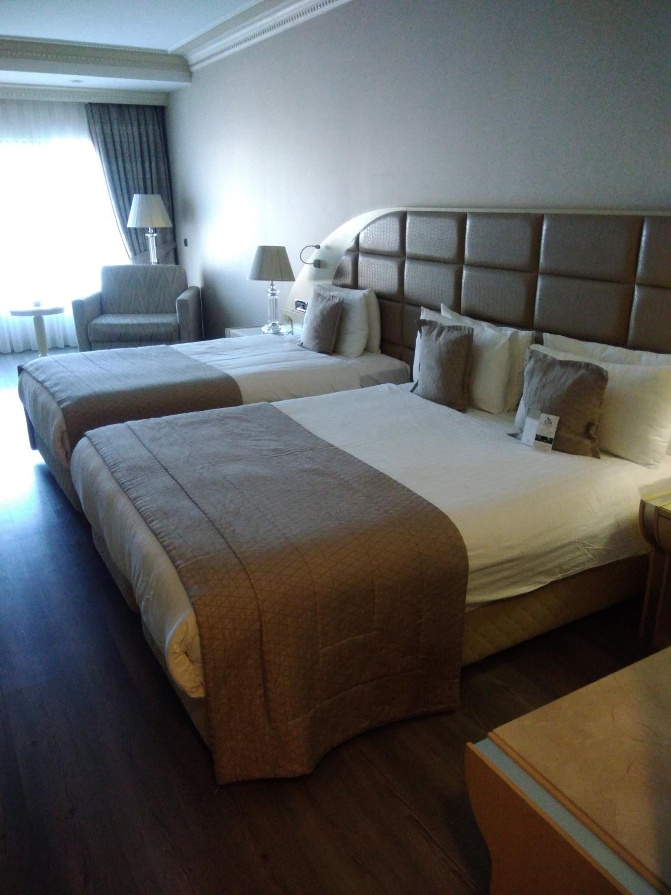 Family Room - Photo 3