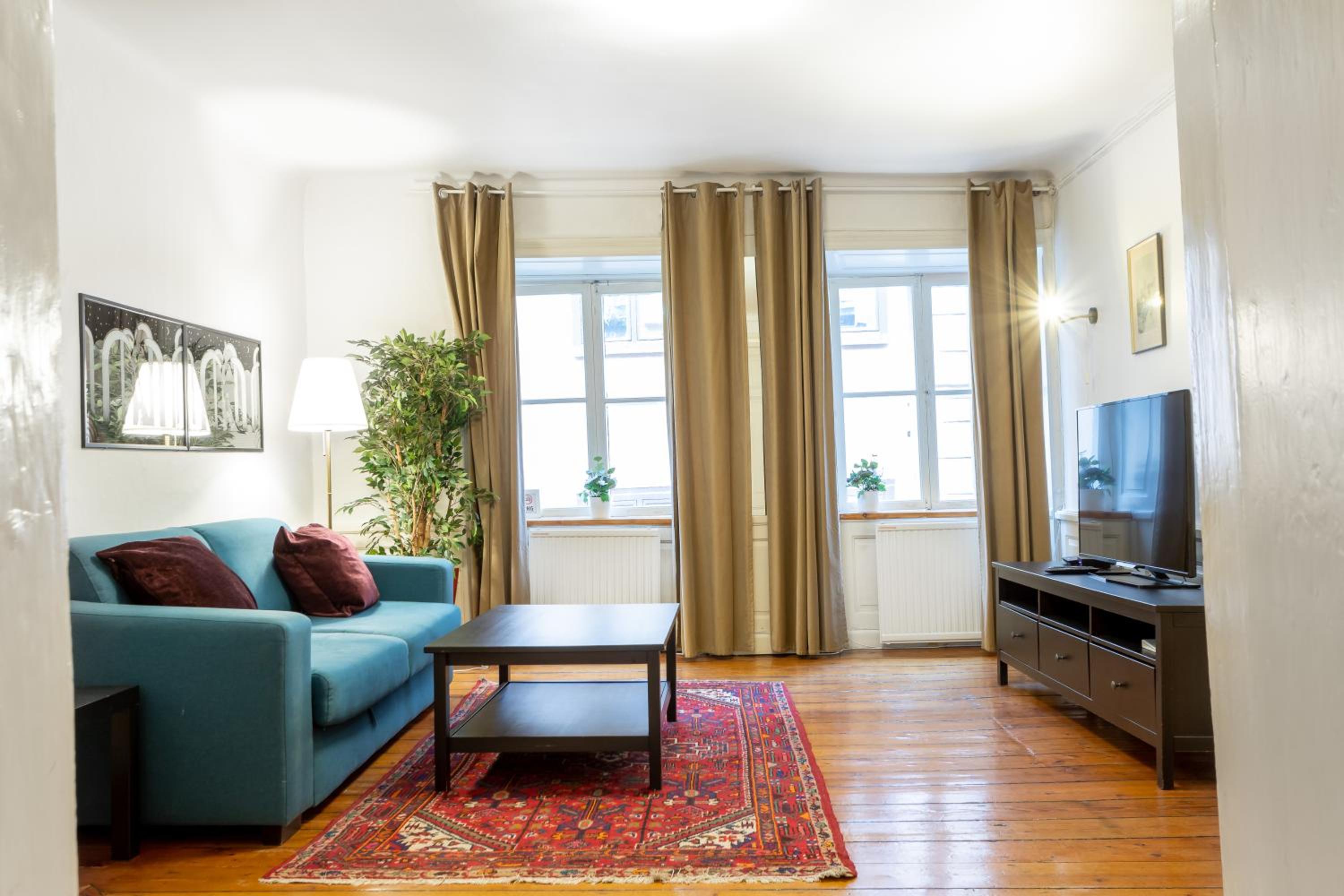 Large One-Bedroom Apartment