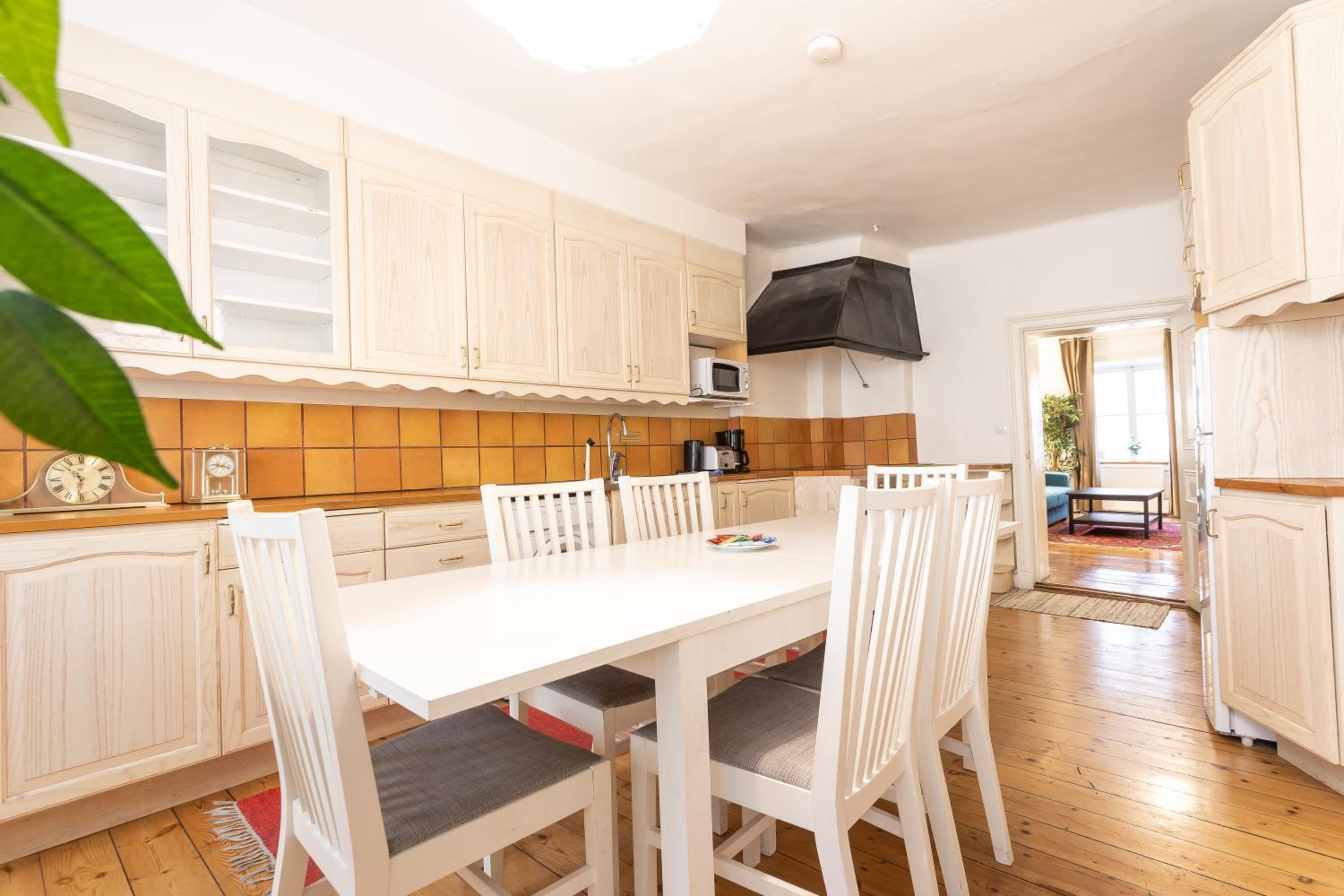 Large One-Bedroom Apartment thumbnail 5