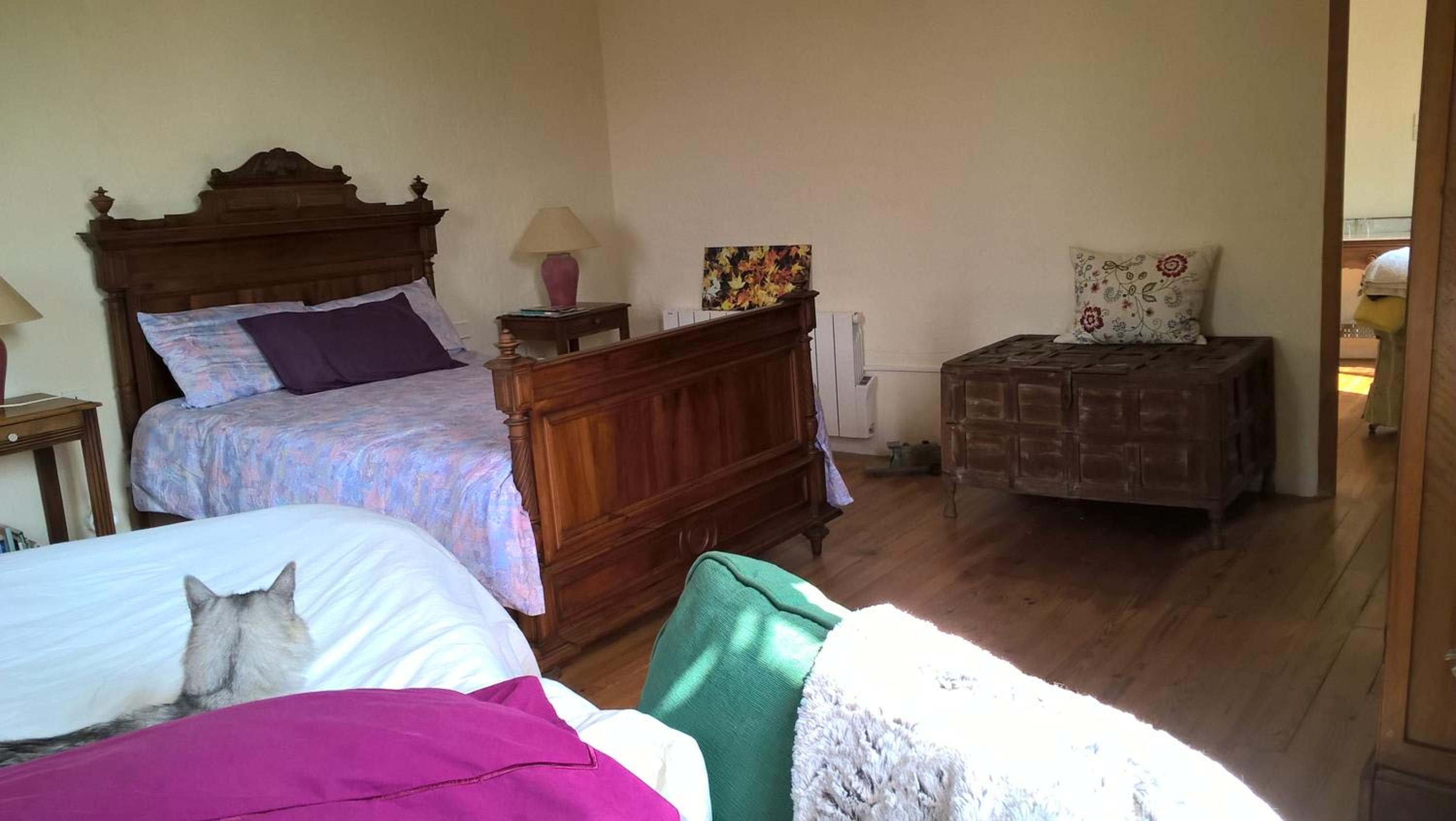 Double or Twin Room with Garden View photo 2