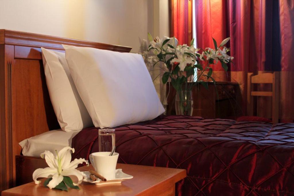 Standard Twin/Double Room with Meteora View - Photo 3