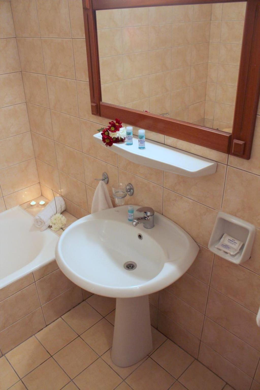 Standard Twin / Double room with Pool View - Photo 5