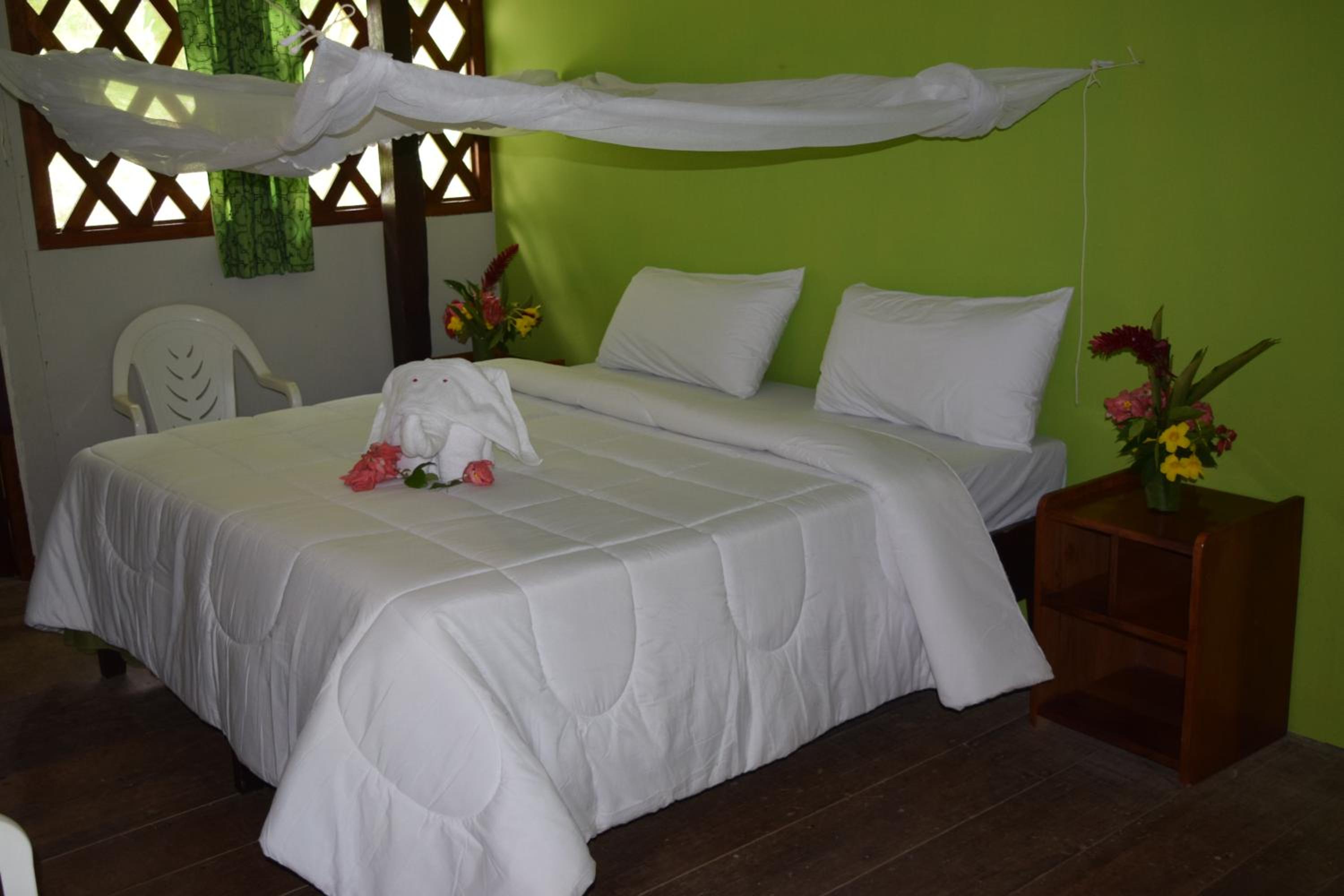 Superior Double Room photo 3