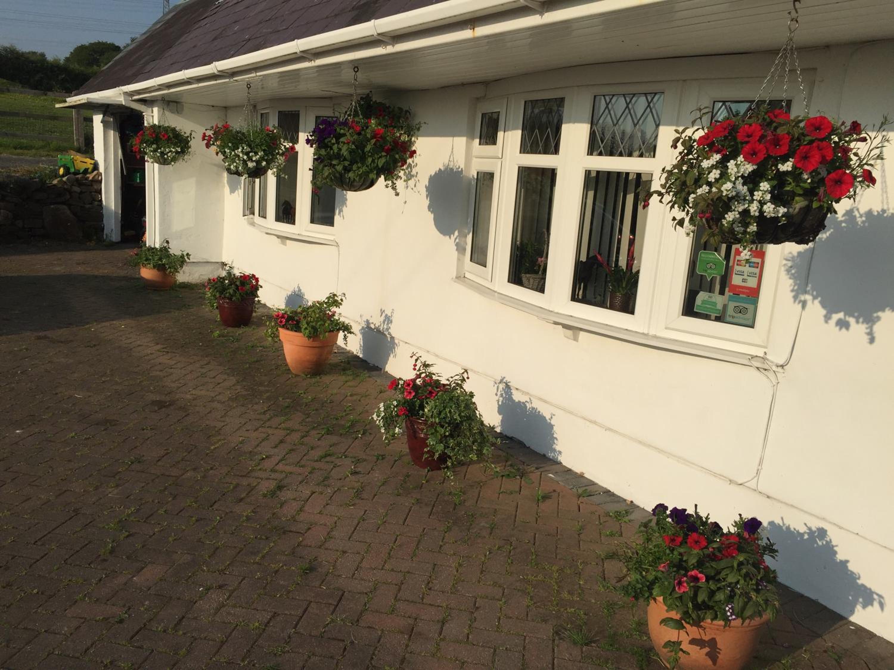 Double or Twin Room with Garden View photo 2
