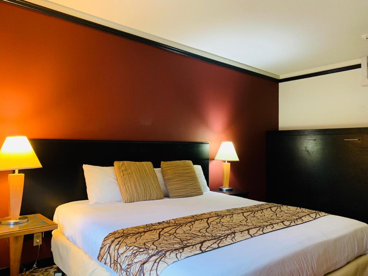 Deluxe King Room photo 2
