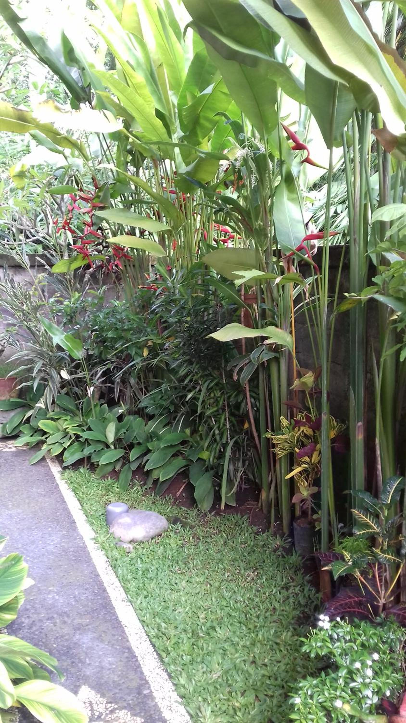 Double Room with Balcony - Photo 11