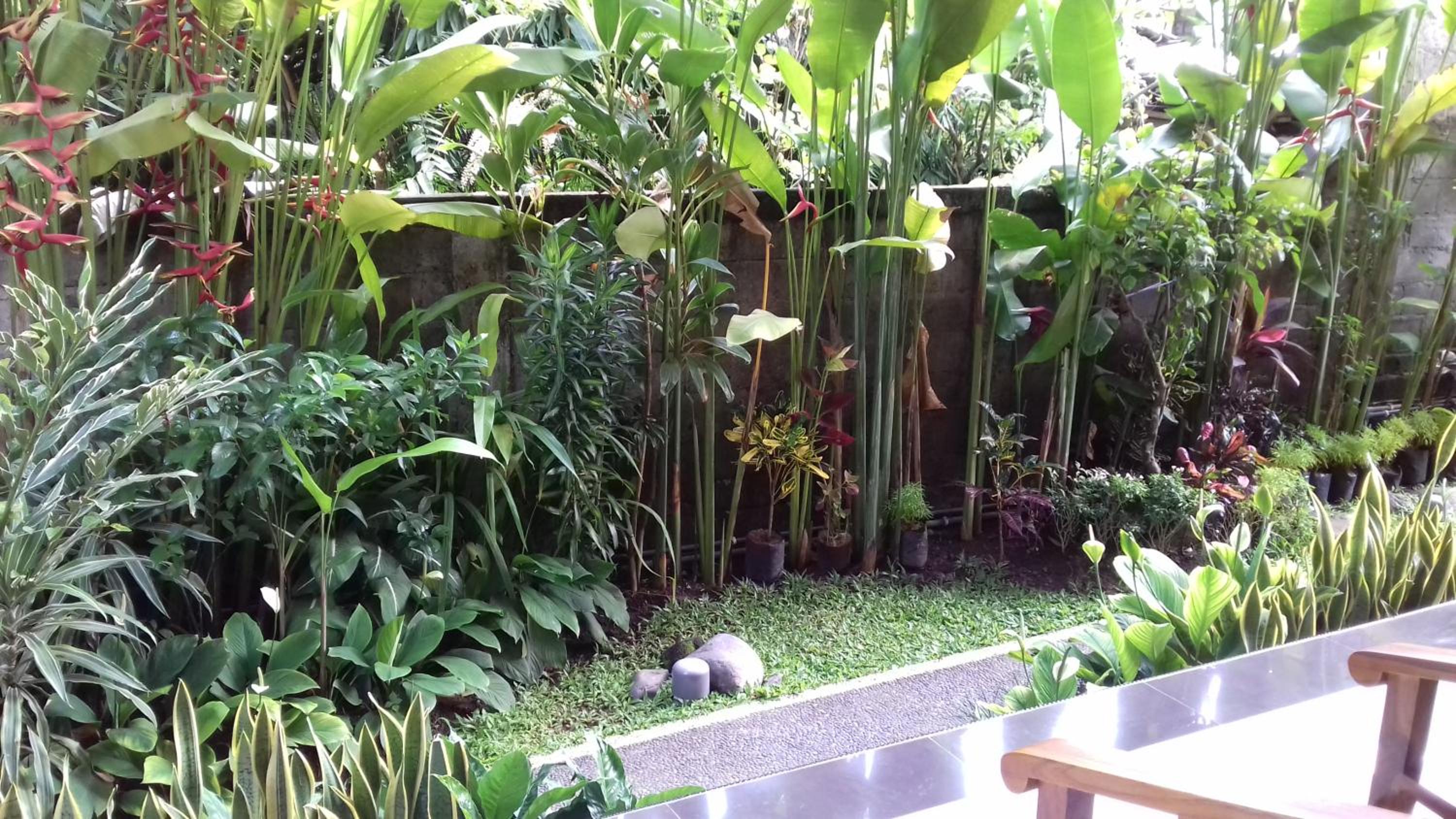 Double Room with Balcony - Photo 14