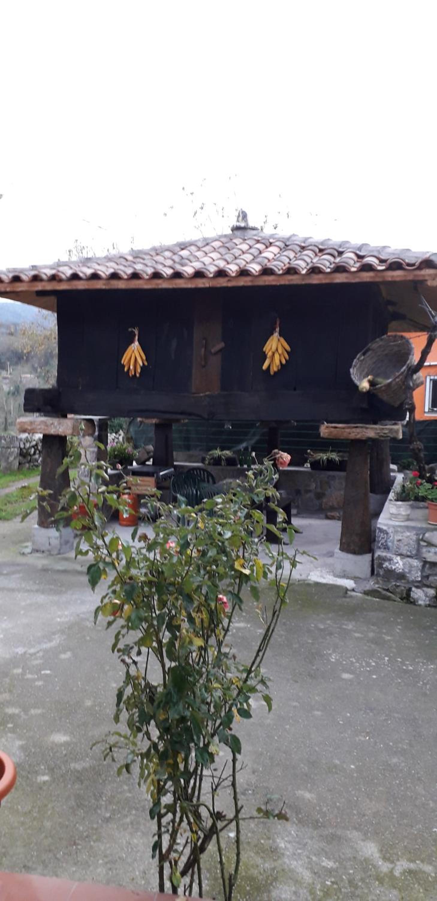Vacation Home - Photo 103