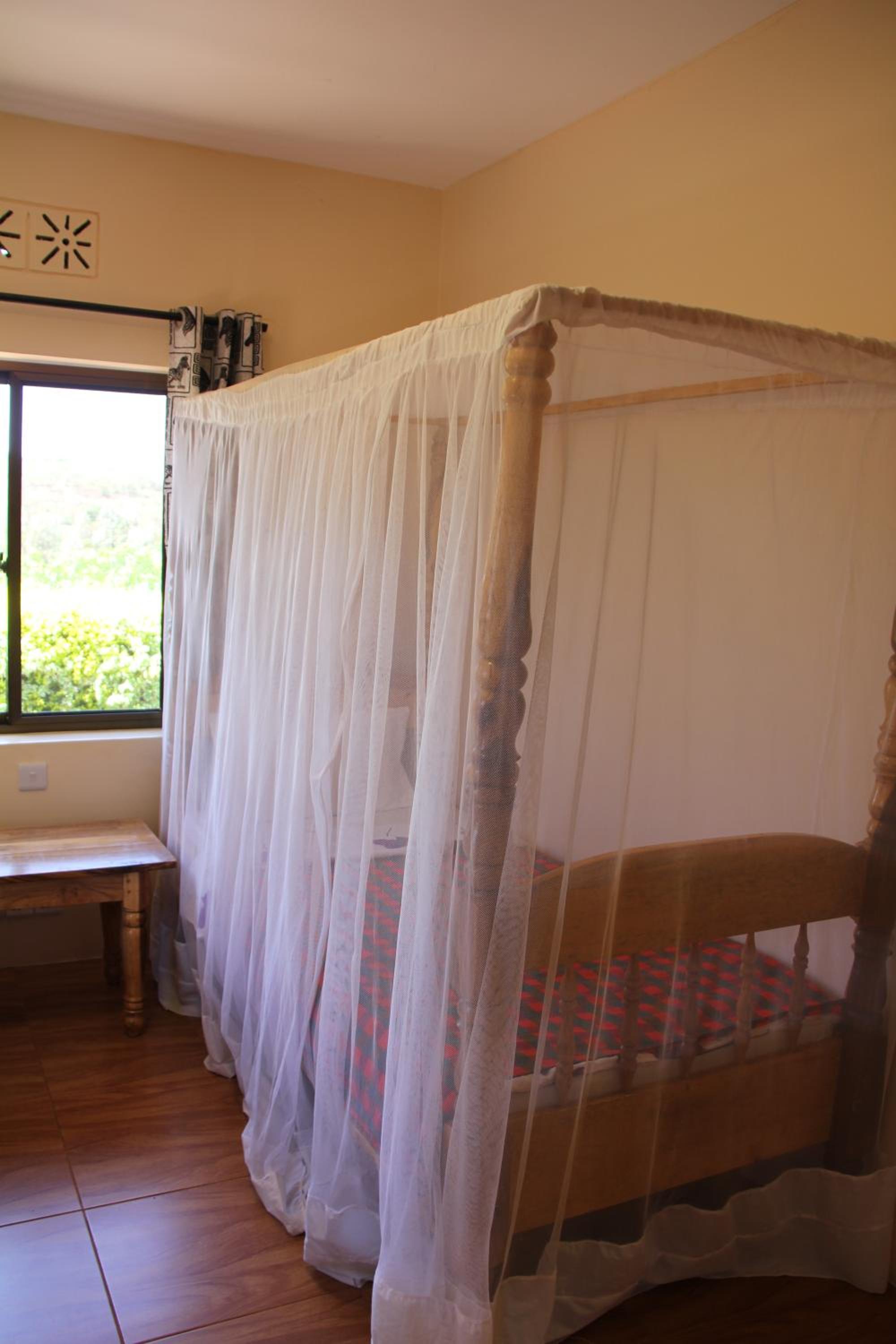 Twin Room photo 2