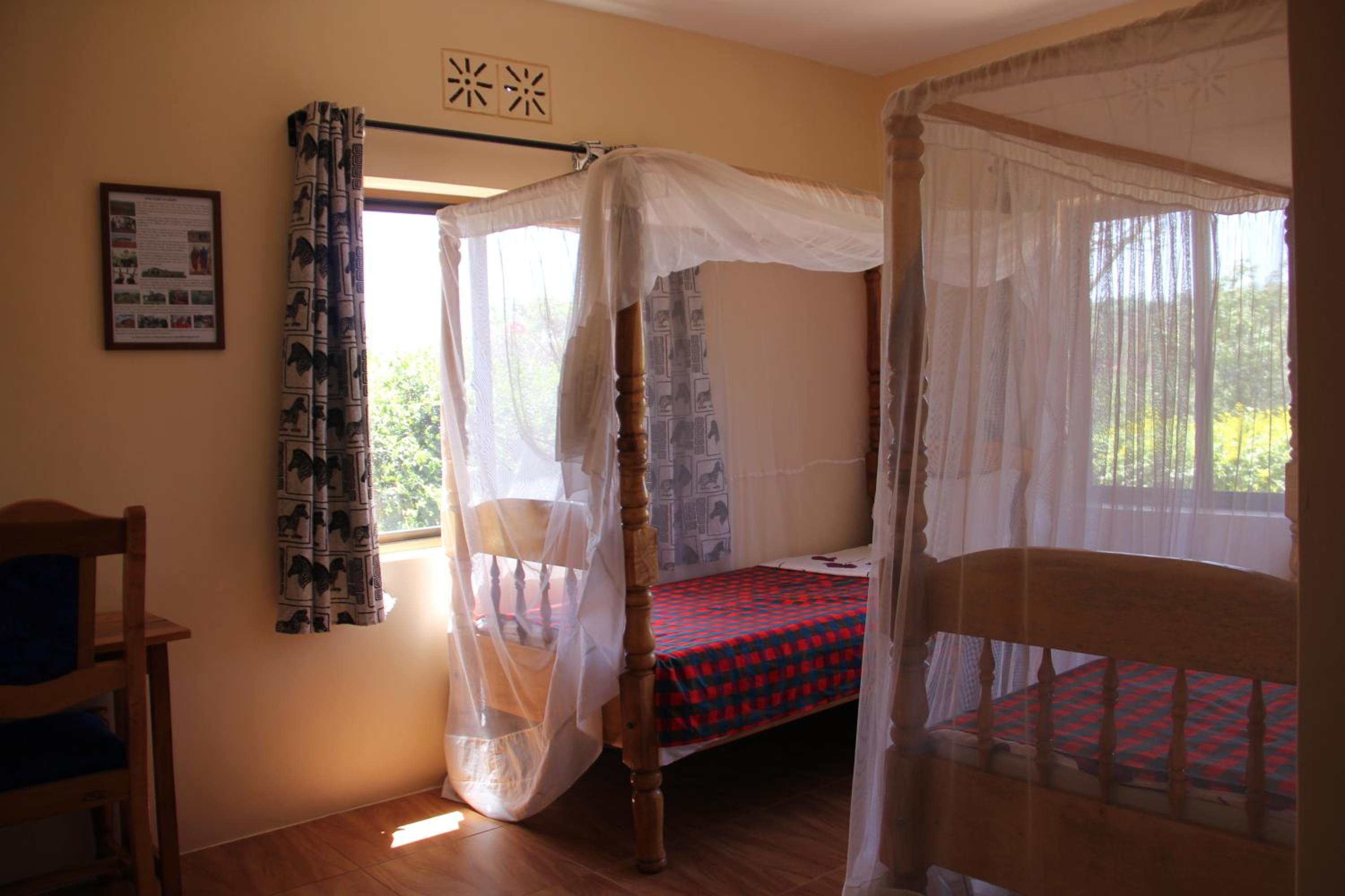 Twin Room photo 1