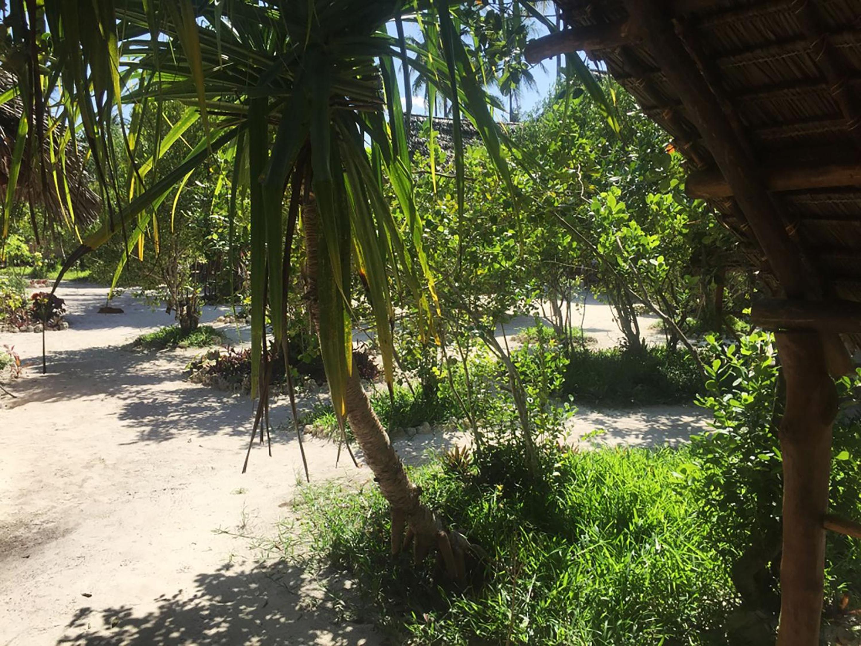 Bungalow with Garden view (5)