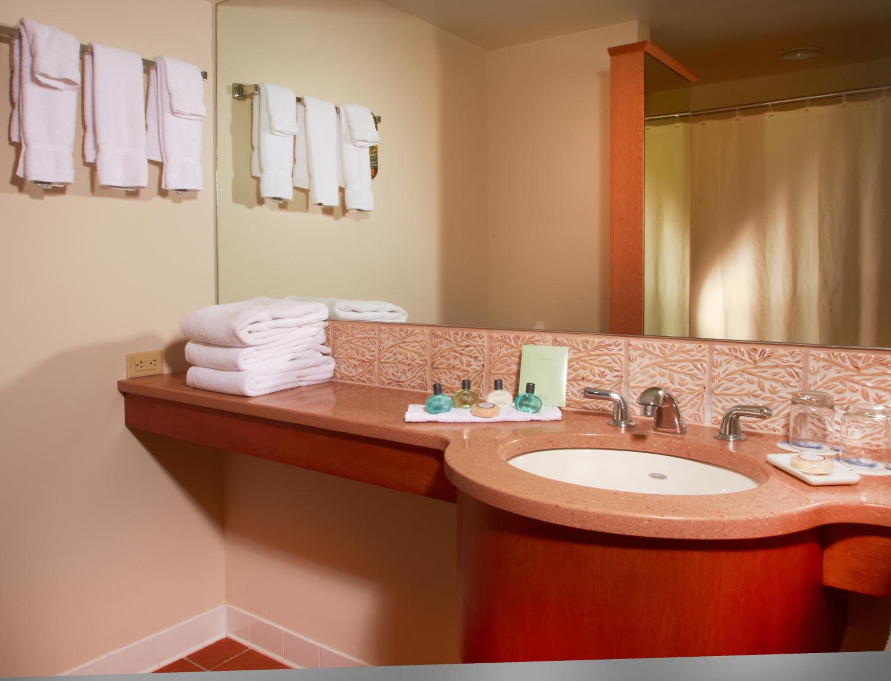 King Suite - Photo 3