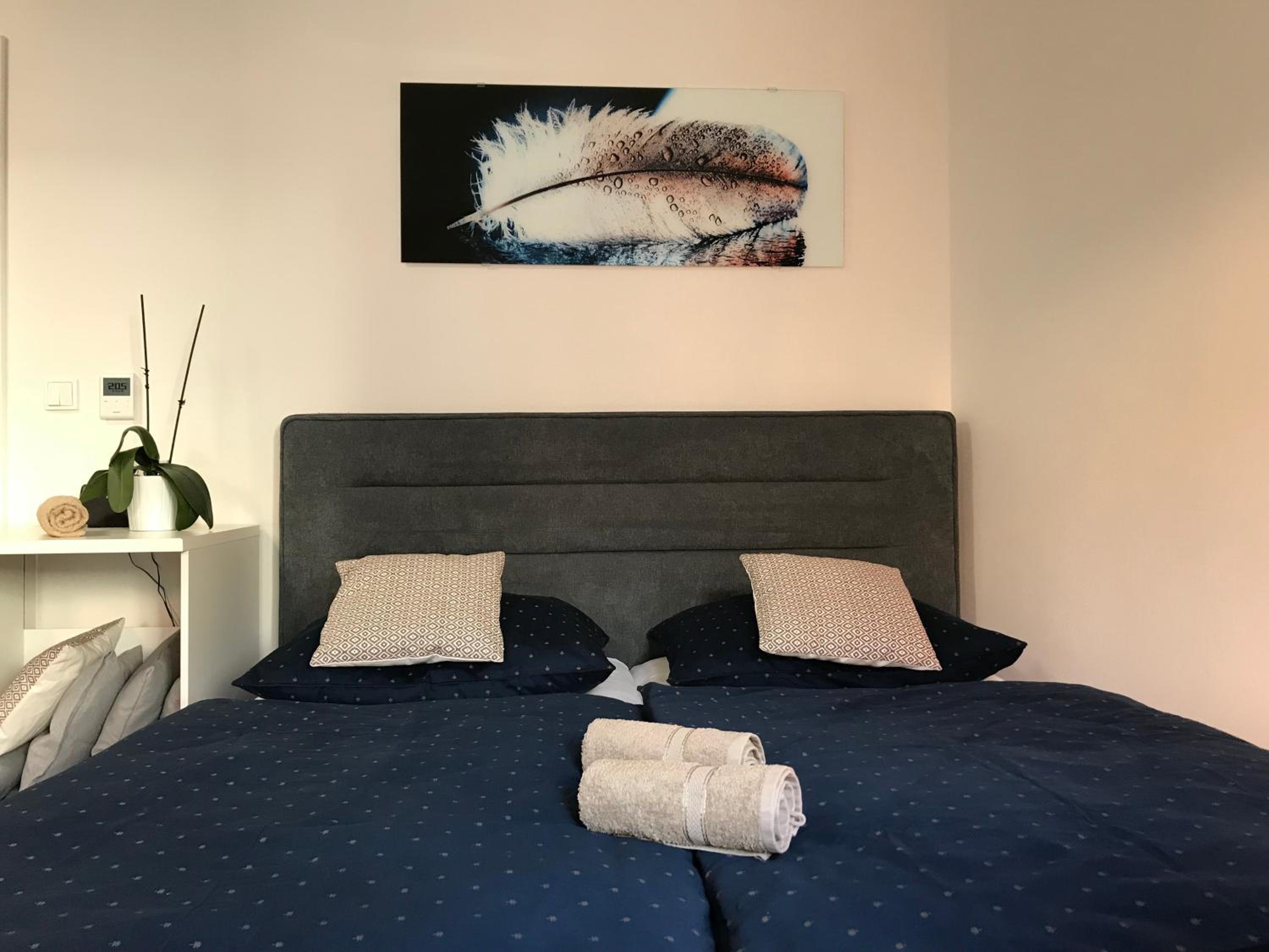 Apartment - Photo 1