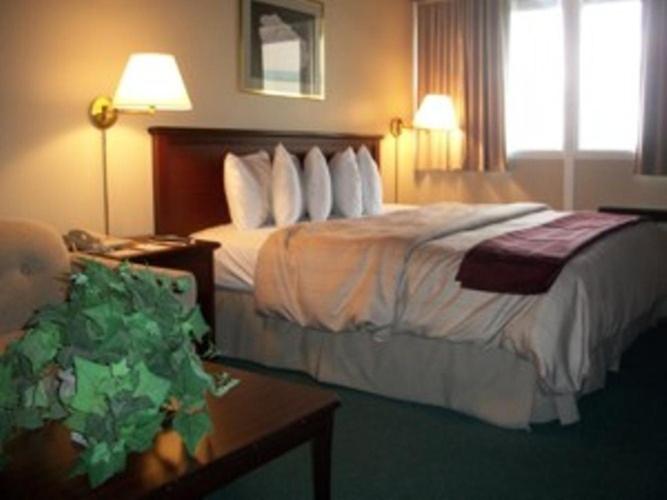Queen Room - Accessible/Non-Smoking - Photo 2