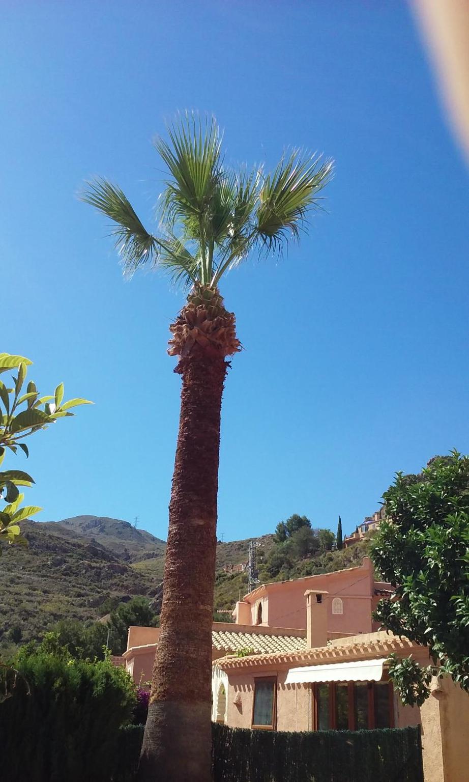 Vacation Home photo 3