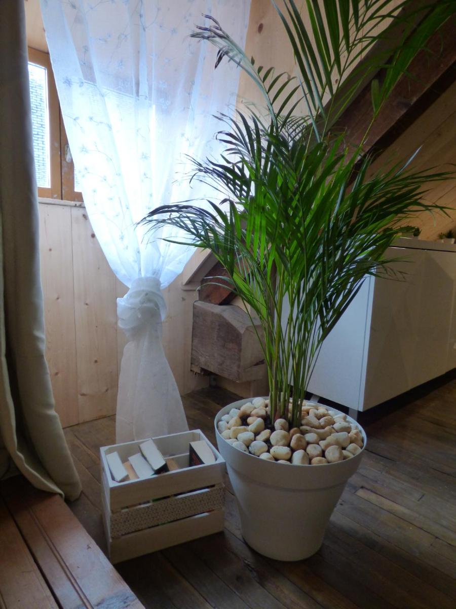 Family Suite - Photo 8