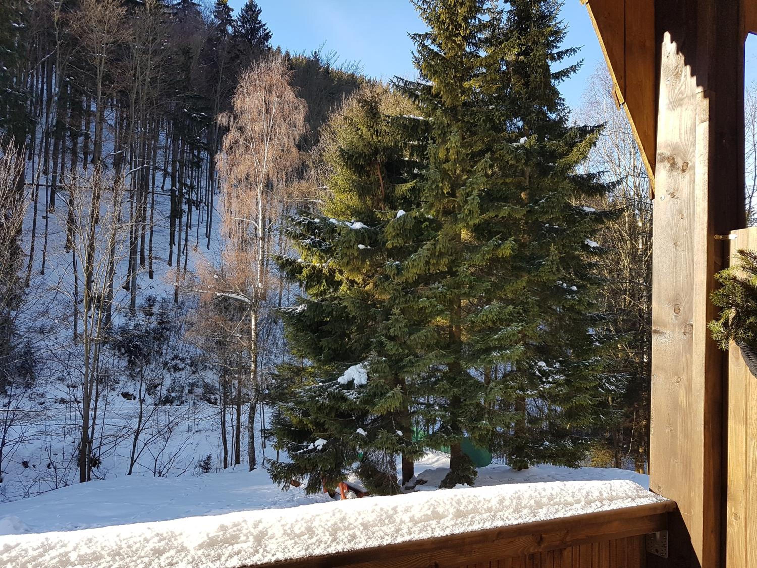 Apartment with Mountain View photo 3