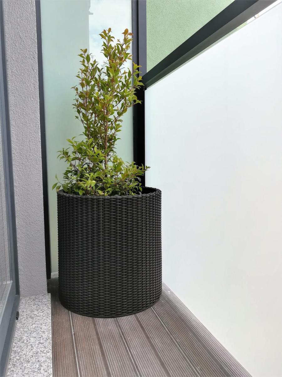 Apartment - Photo 2