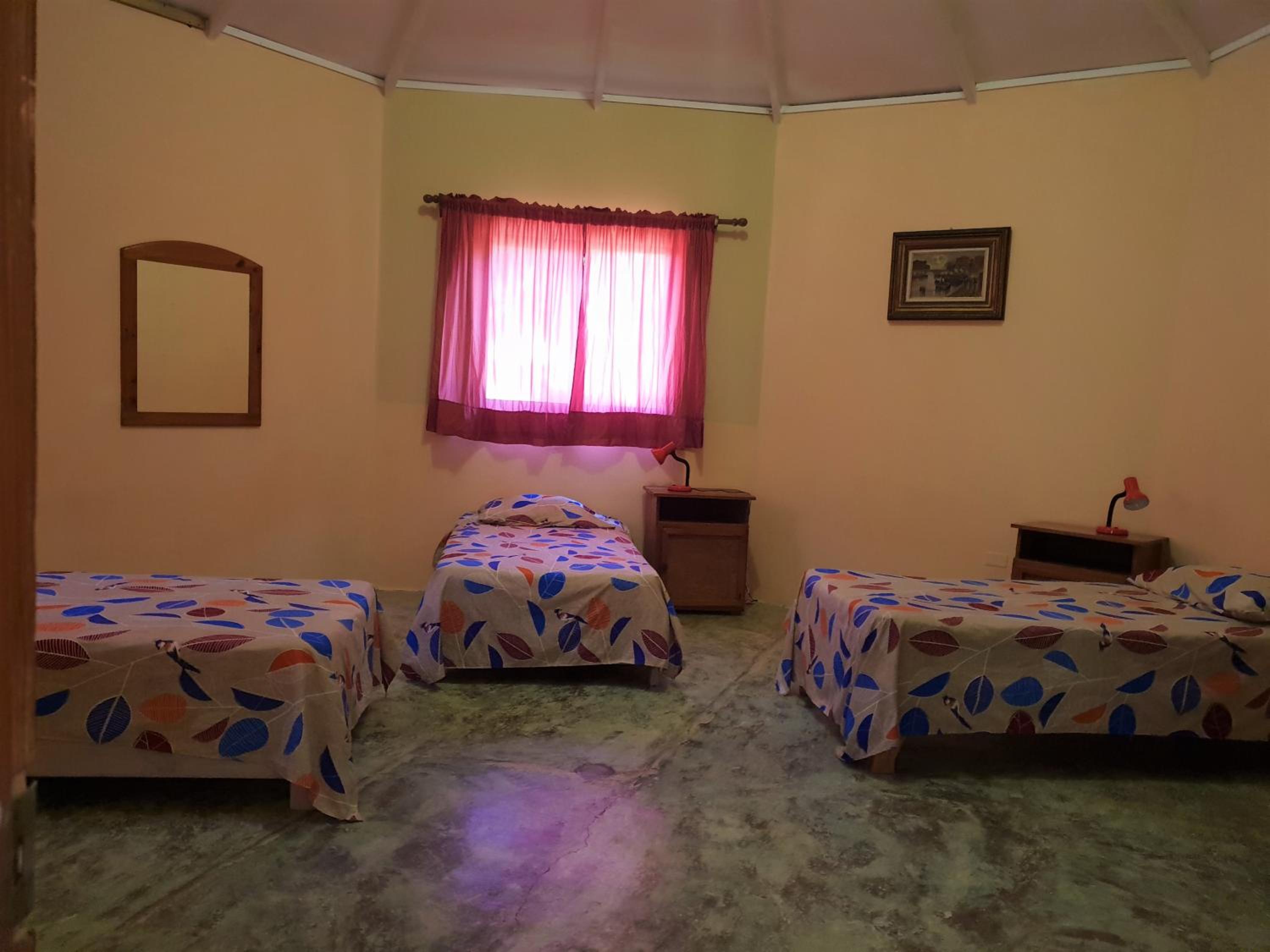 Single Bed In Mixed Dormitory Room