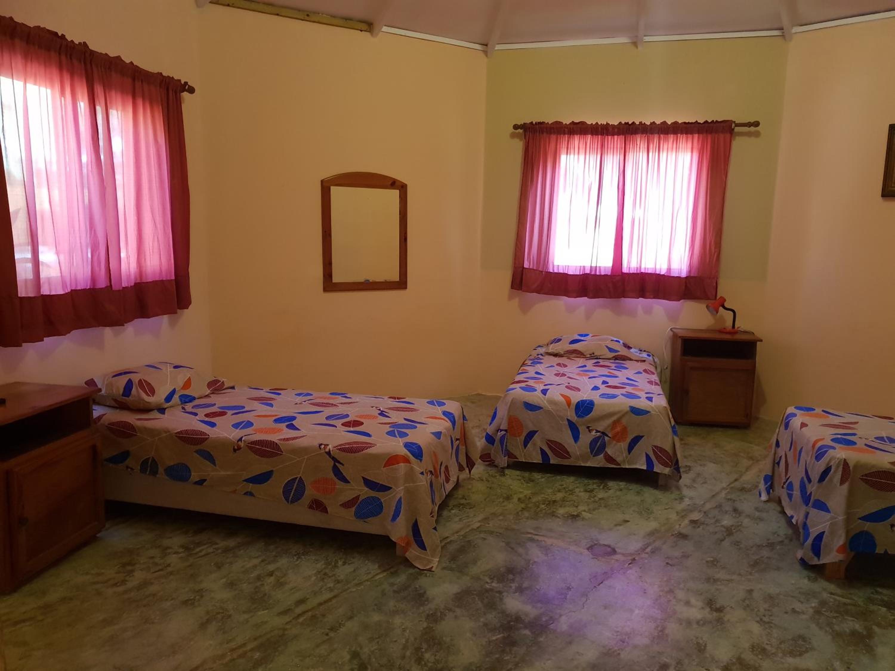 Single Bed In Mixed Dormitory Room photo 2