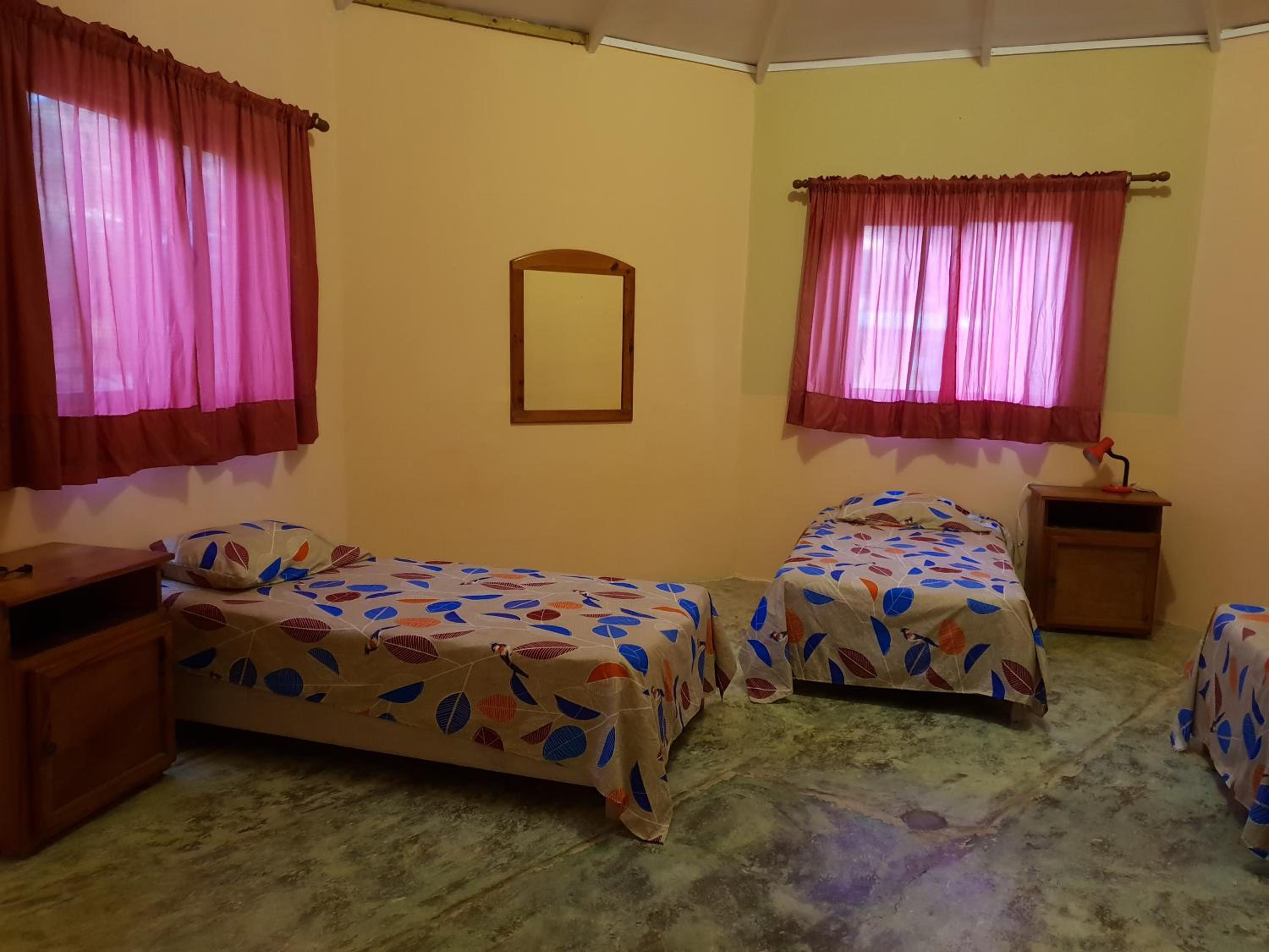 Single Bed In Mixed Dormitory Room photo 3