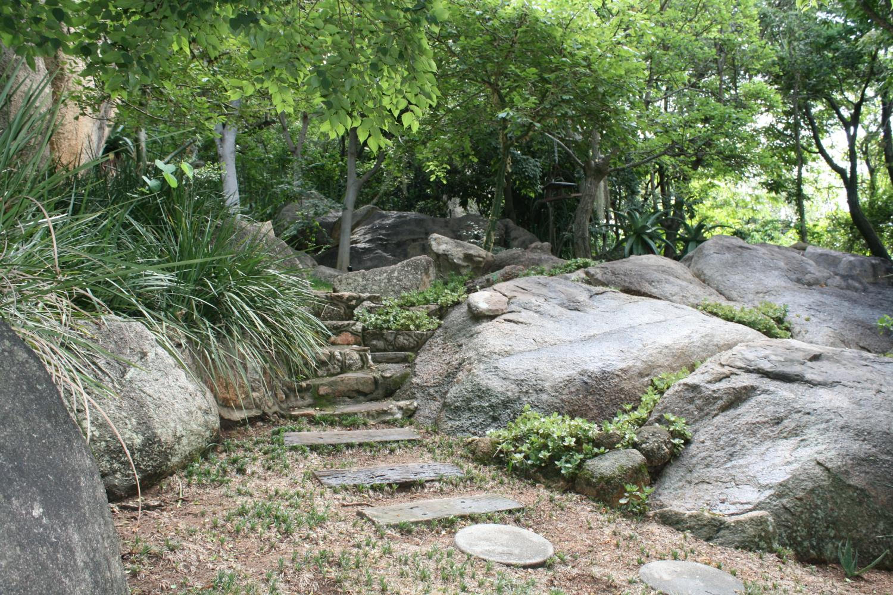 Suite - Photo 20