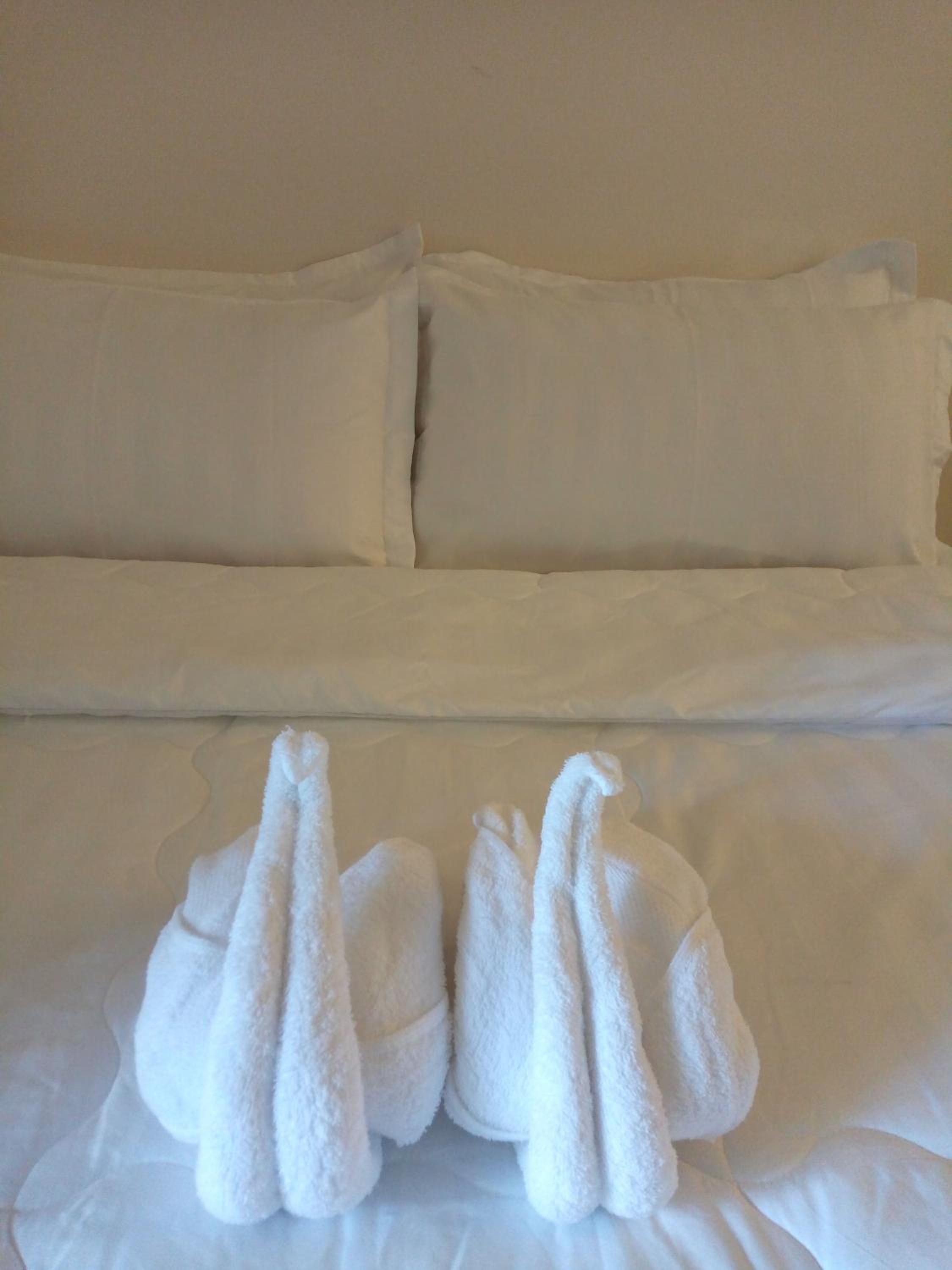 Economy Single Room photo 1