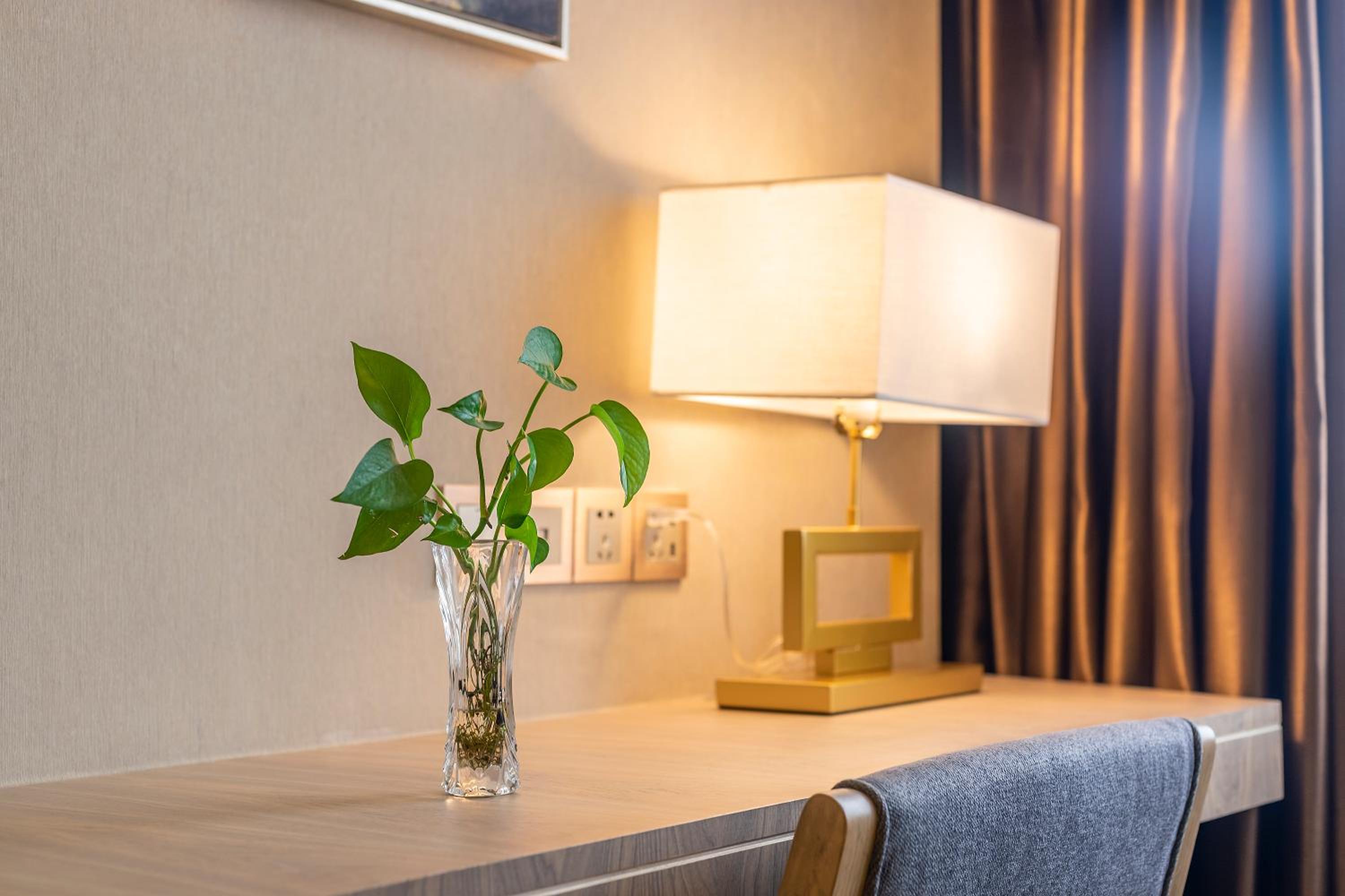 Family Suite photo 3