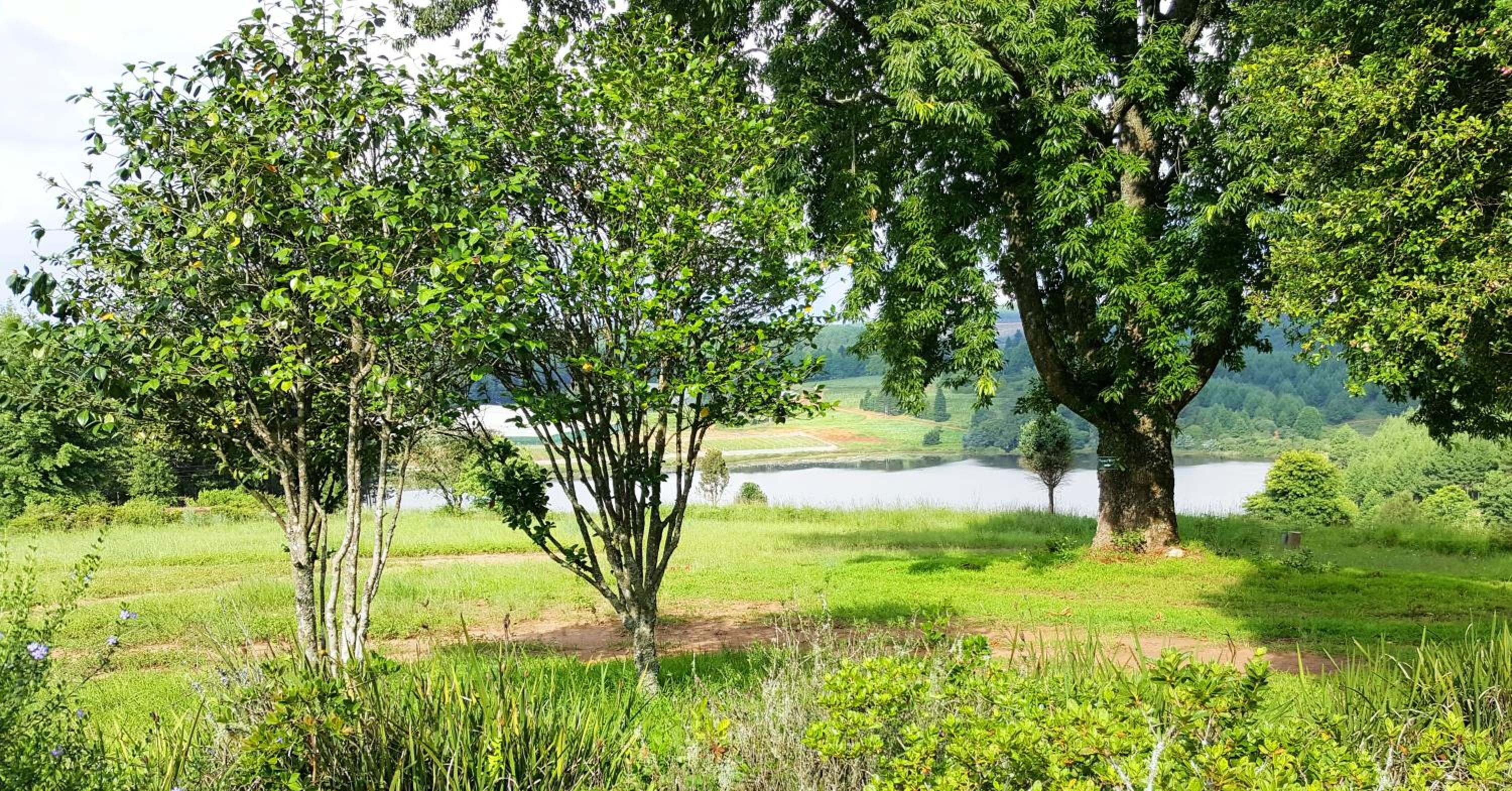 8-Sleeper Budget Cottage - Photo 4