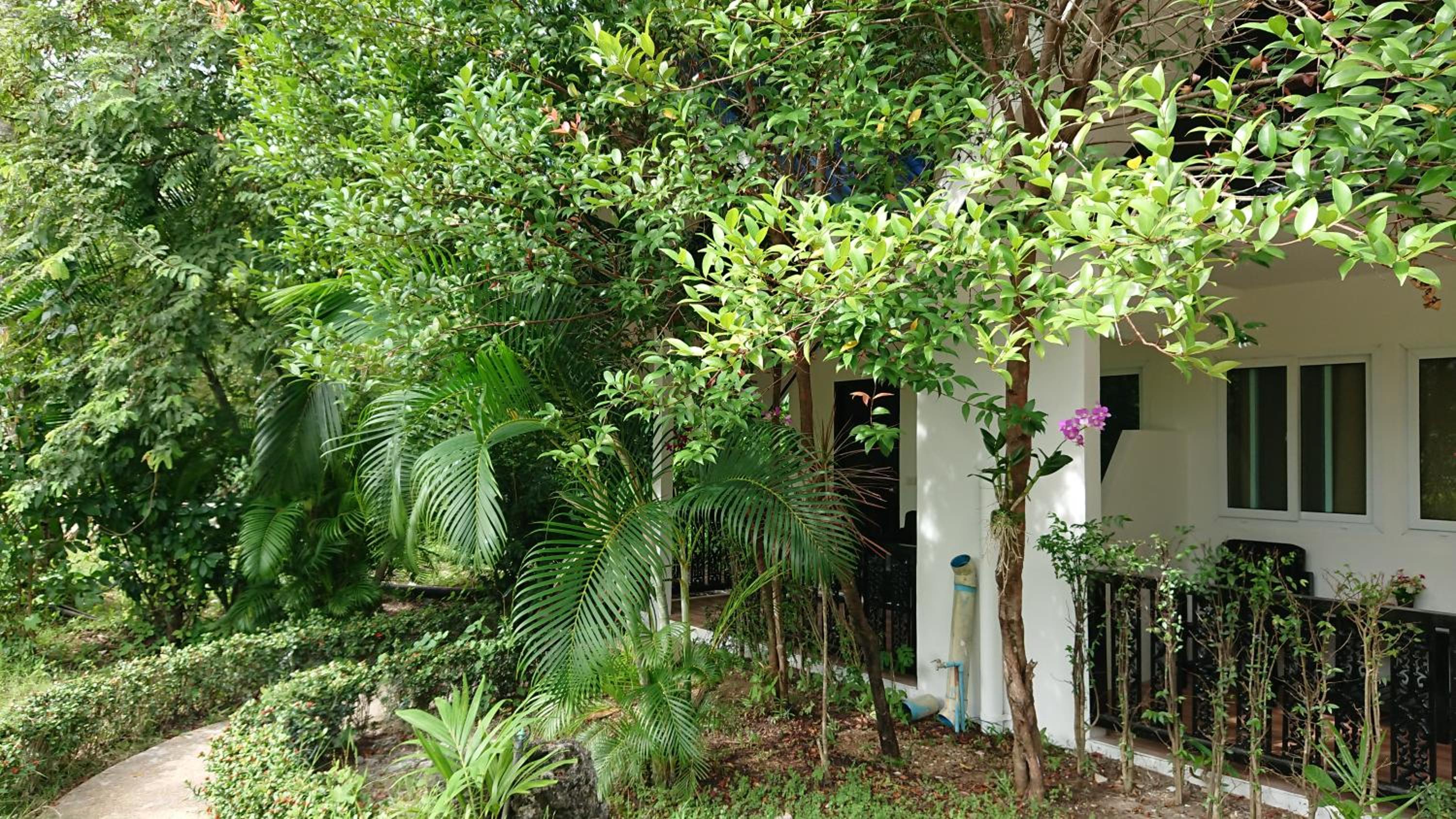 Single Room with Garden View - Photo 22