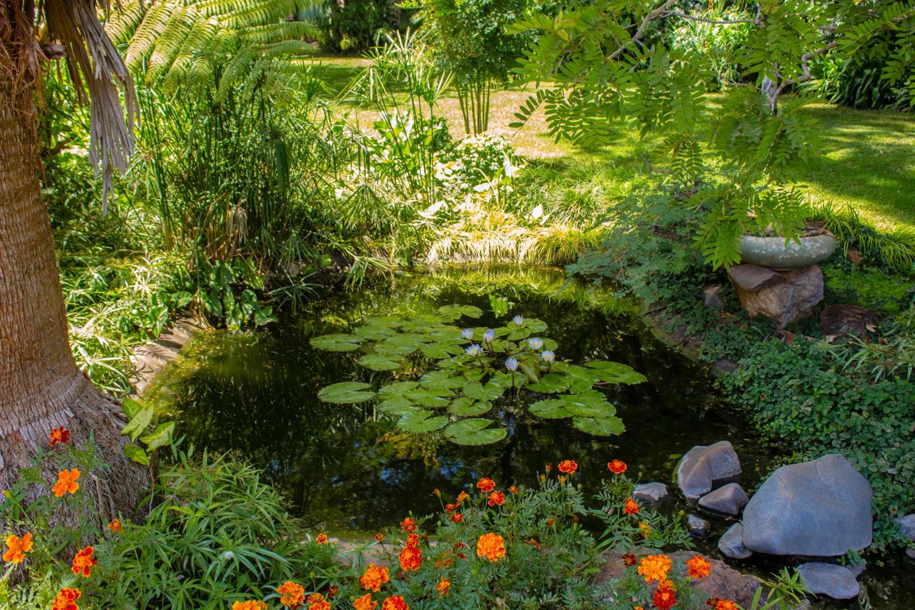 Studio with Garden View photo 2