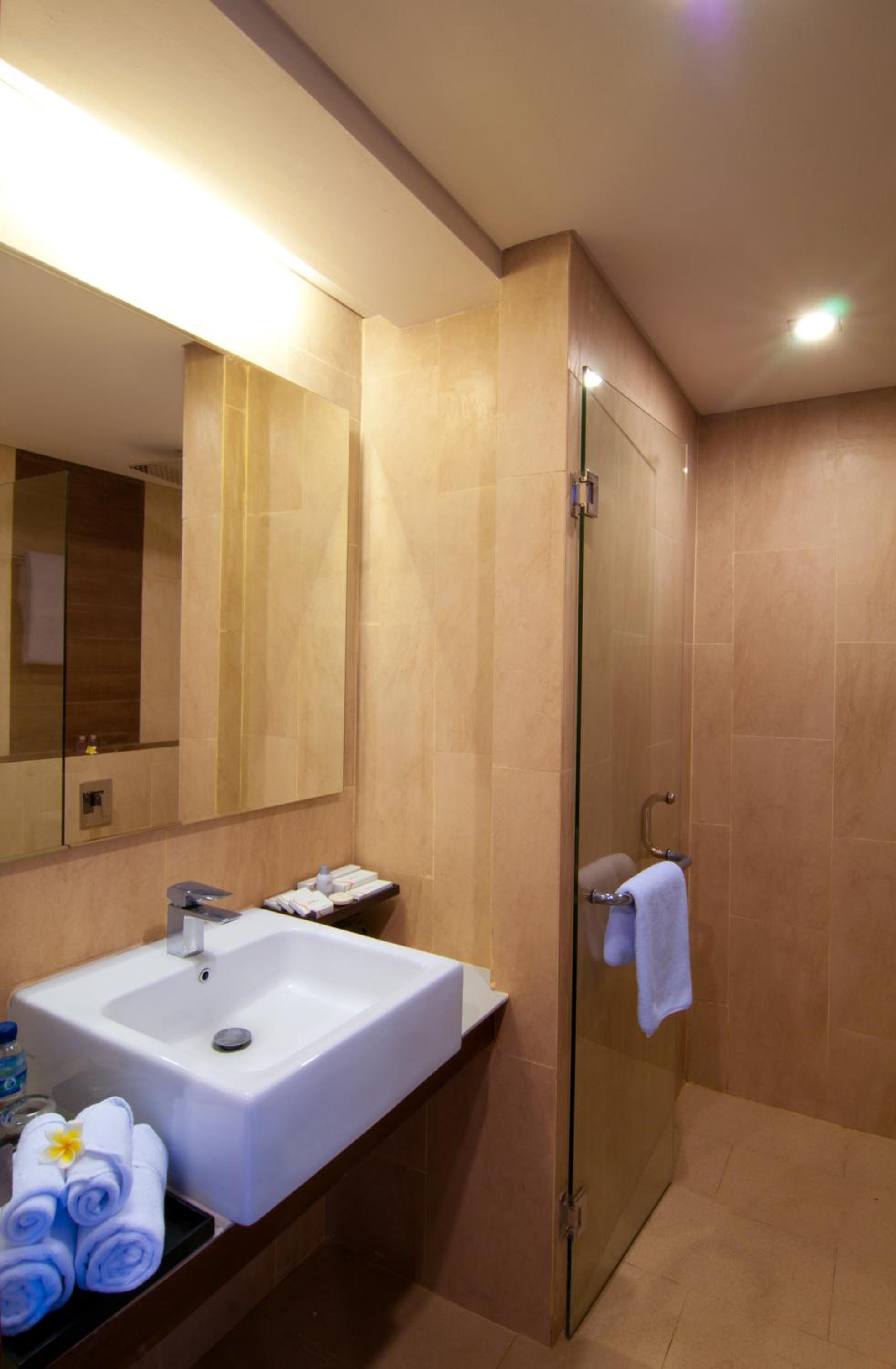 Deluxe Double or Twin Room (No Window) - Photo 3